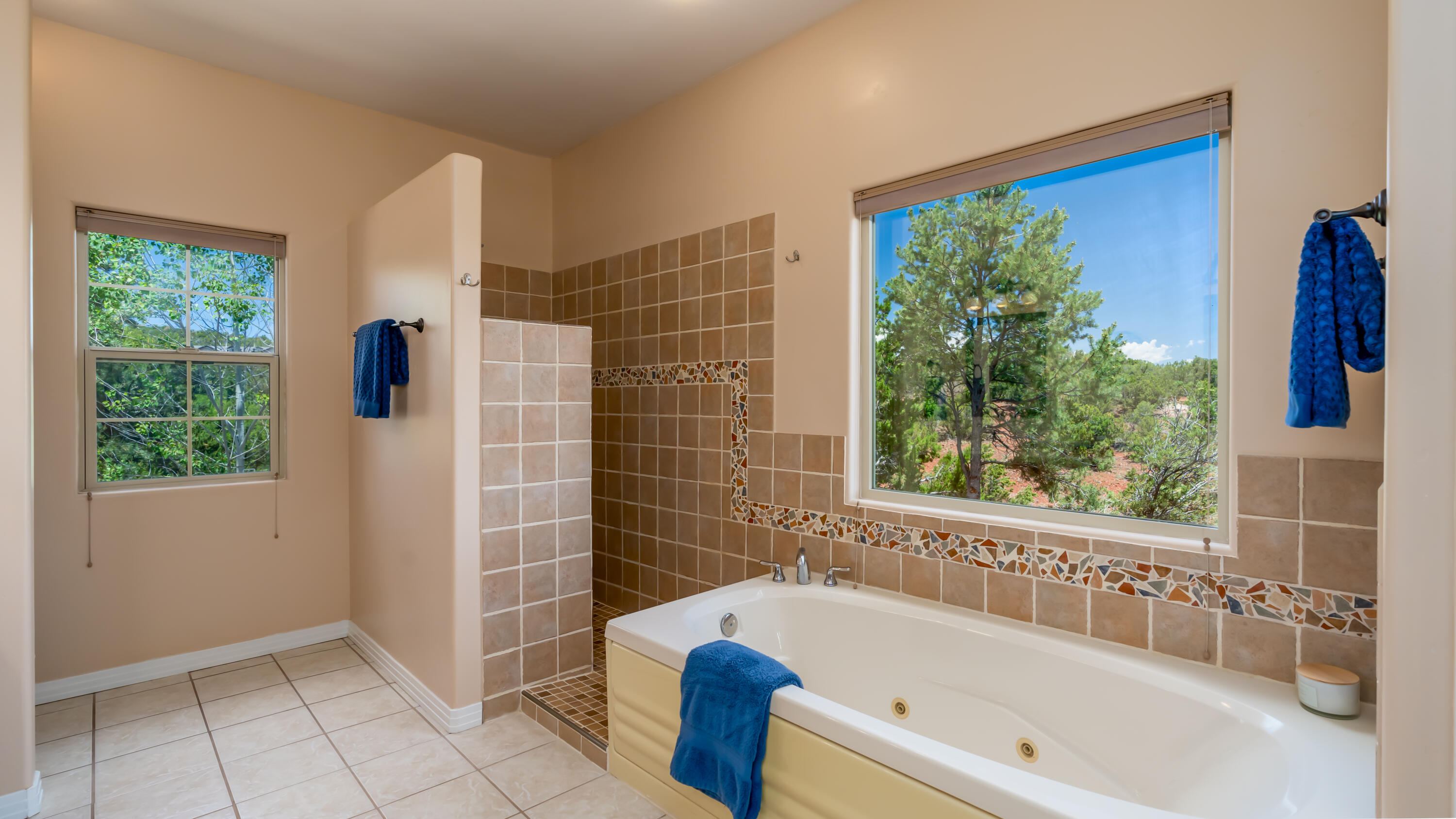 51 Twin Arrow Drive, Sandia Park, New Mexico image 18