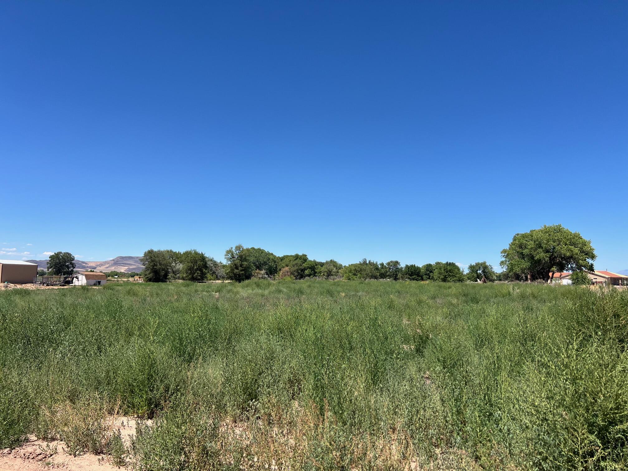 Guinea Lane, Belen, New Mexico image 2