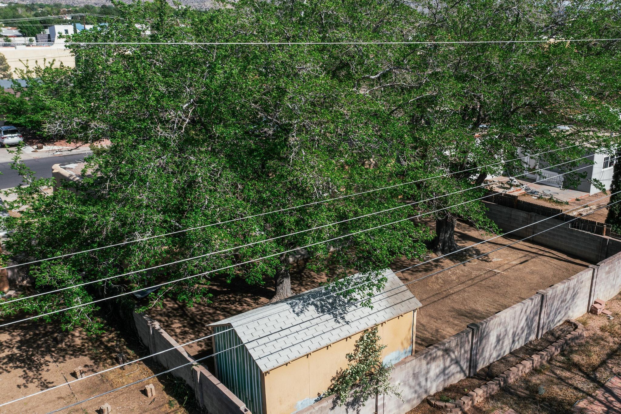 1513 Muriel Street, Albuquerque, New Mexico image 44