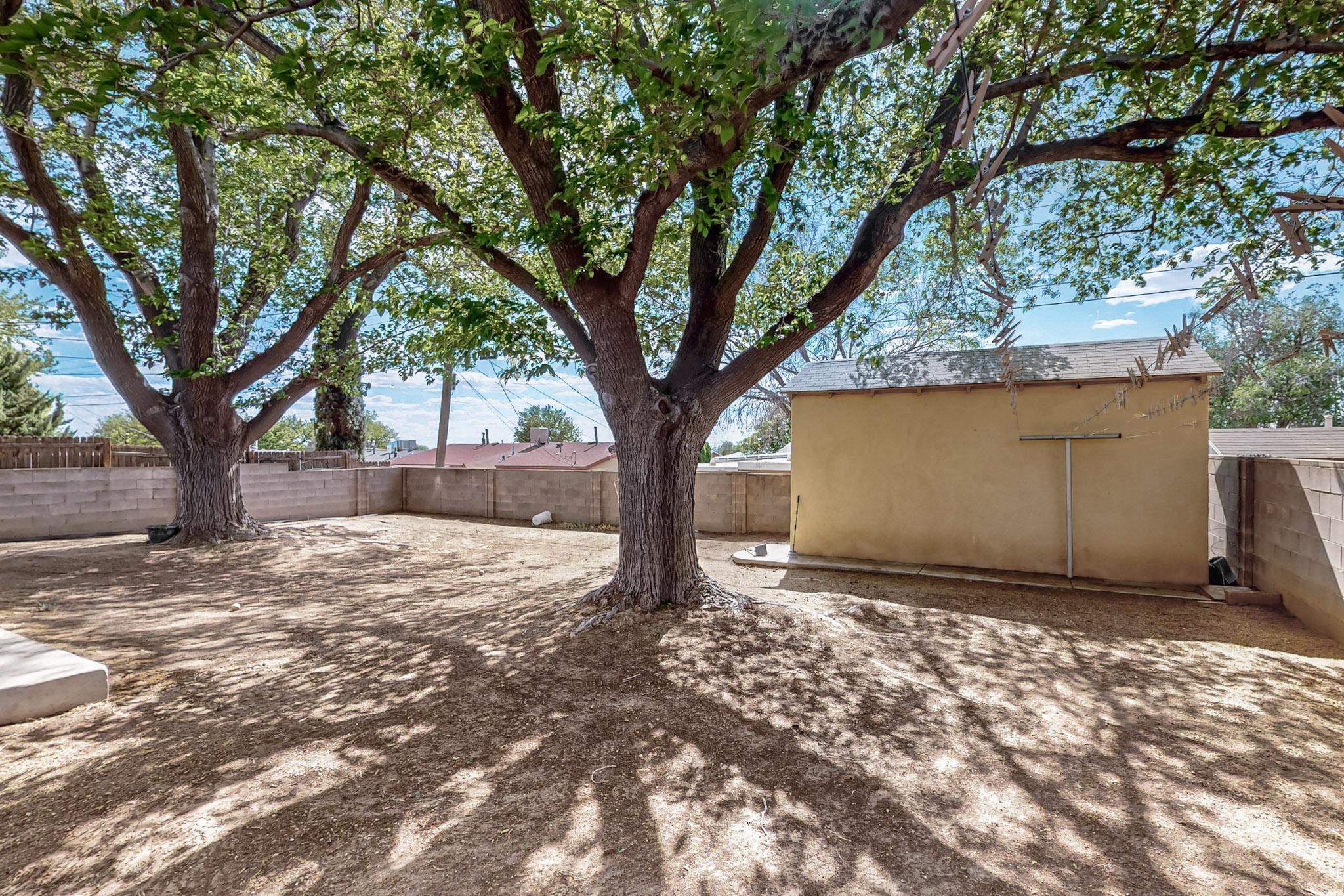 1513 Muriel Street, Albuquerque, New Mexico image 39