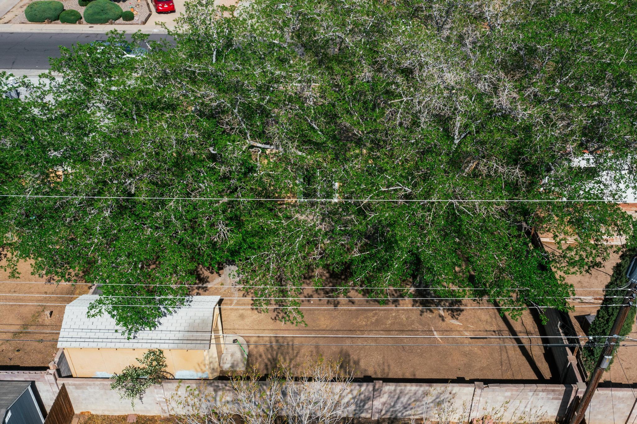 1513 Muriel Street, Albuquerque, New Mexico image 43