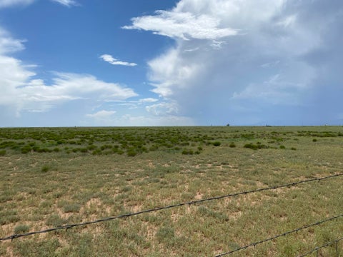 Vacant Land For Sale - W Howell Road<br/> Estancia, NM 87016