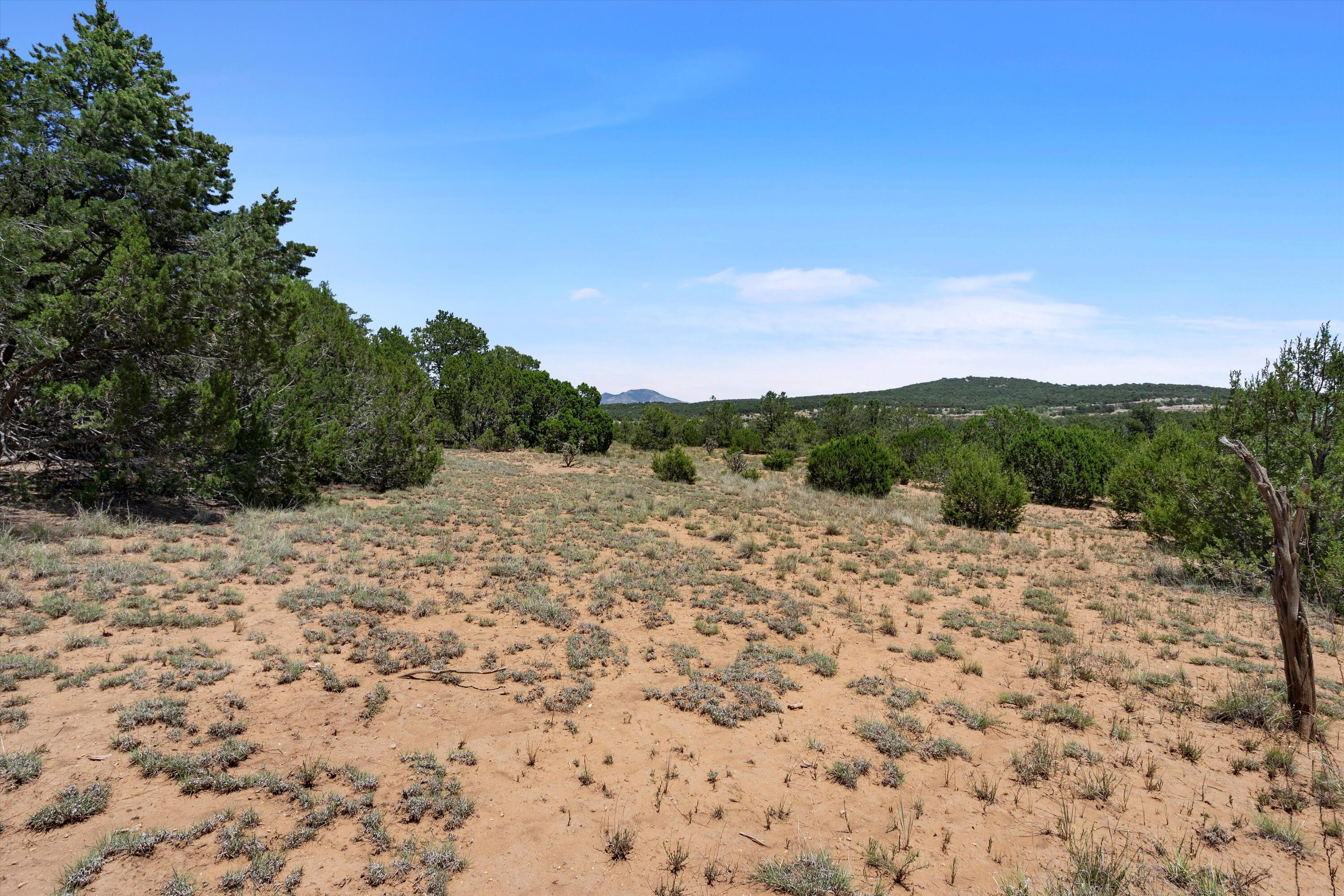 20, 30, 32, 34 And 38 Griffin Road, Tijeras, New Mexico image 9