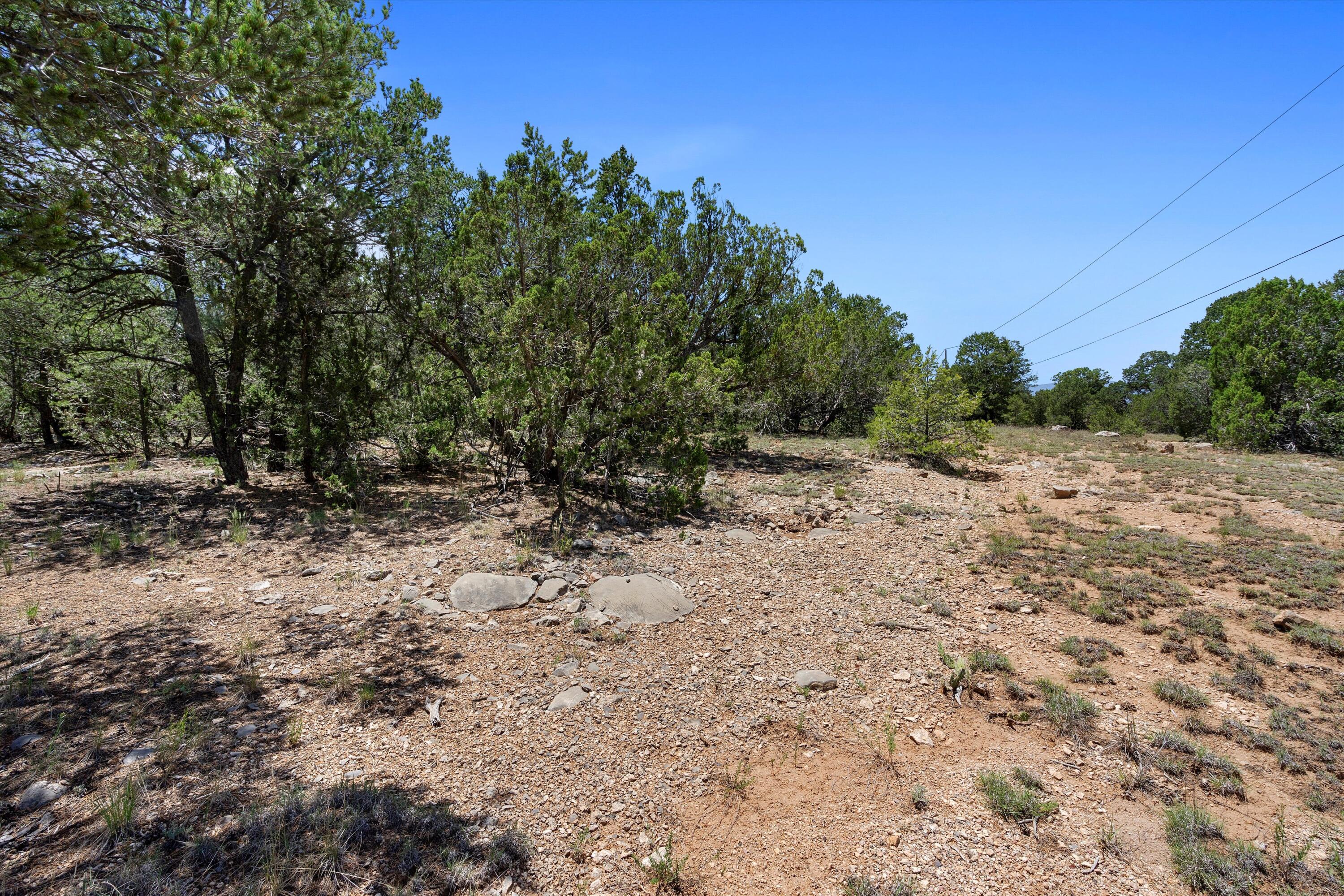 20, 30, 32, 34 And 38 Griffin Road, Tijeras, New Mexico image 12