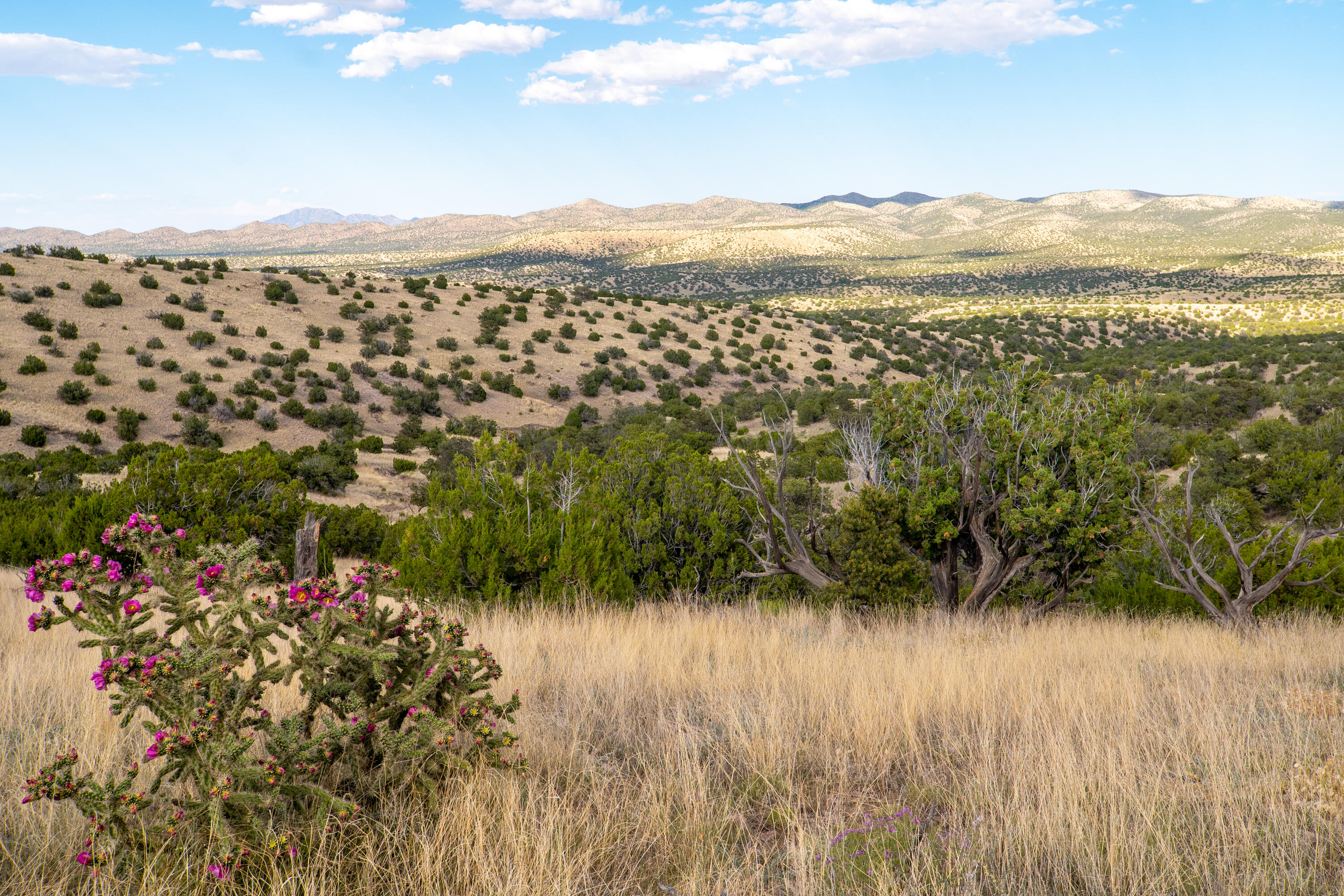 123 Ridge View Road, Magdalena, New Mexico image 1