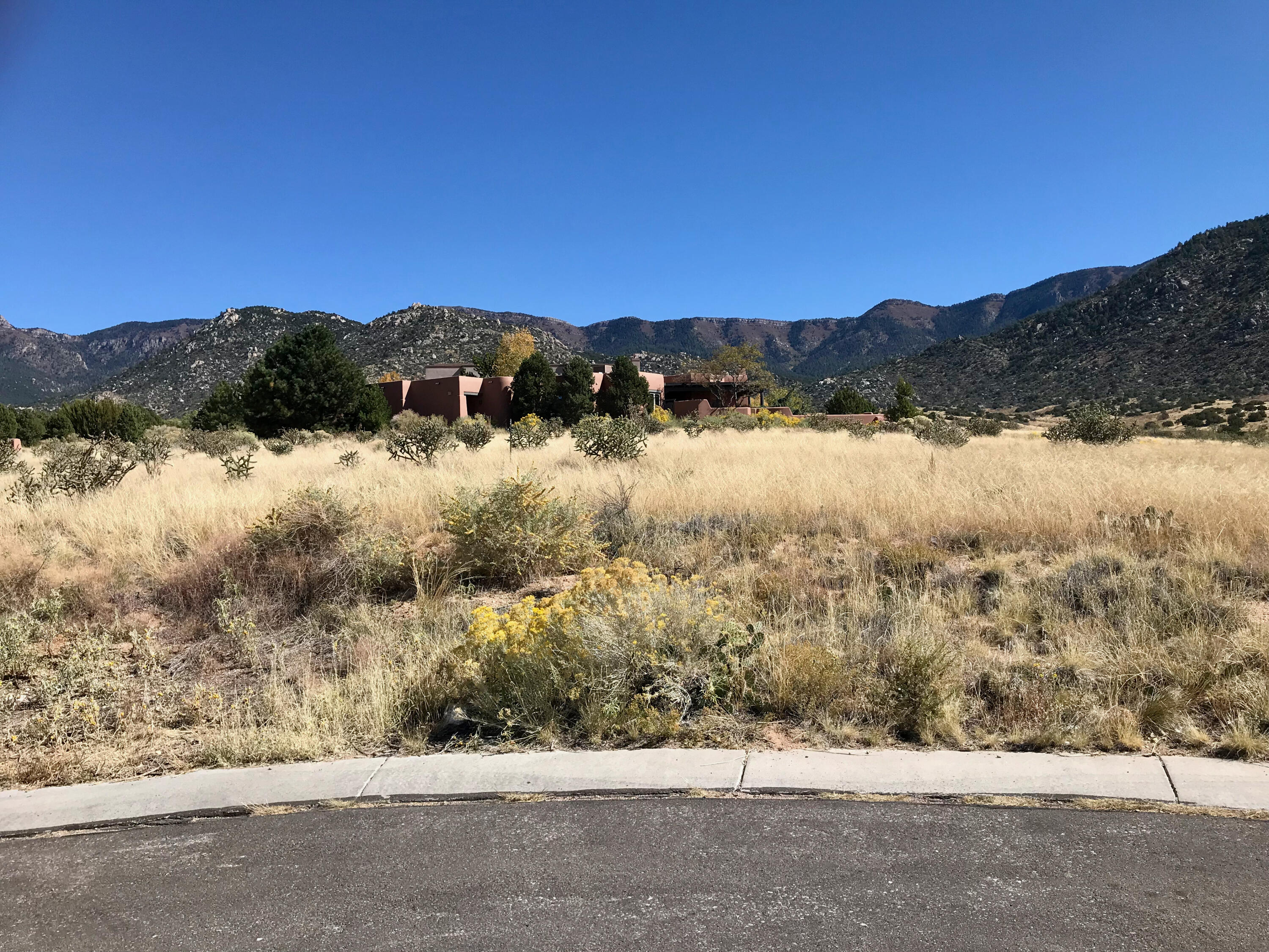 6008 Beargrass Court, Albuquerque, New Mexico image 5