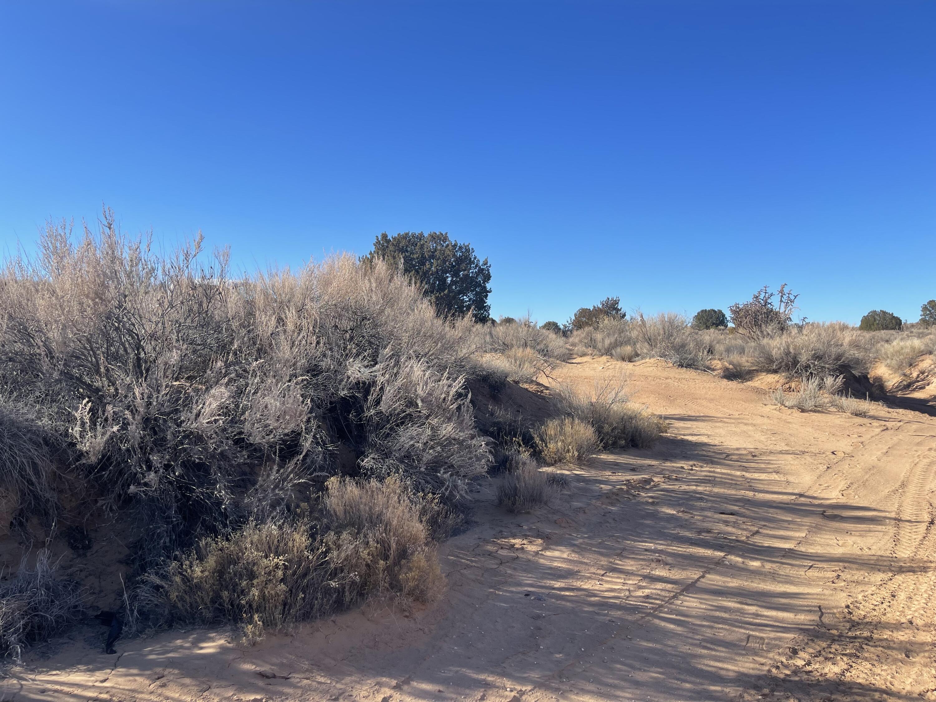 4836 Ferris Road, Rio Rancho, New Mexico image 12