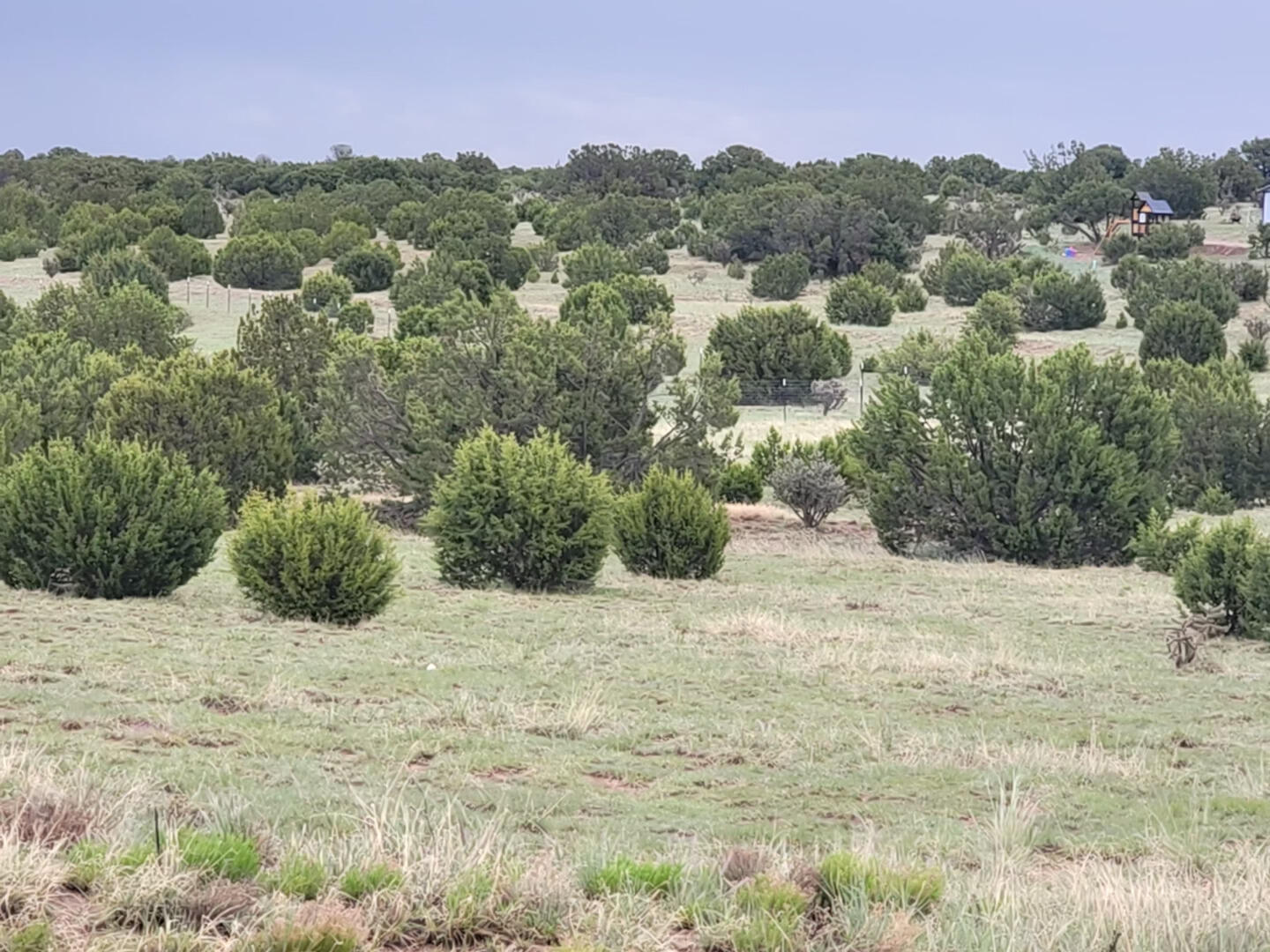 95 Woodland Drive, Edgewood, New Mexico image 1