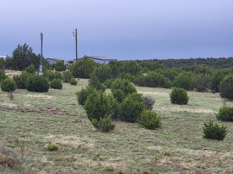 95 Woodland Drive, Edgewood, New Mexico image 2