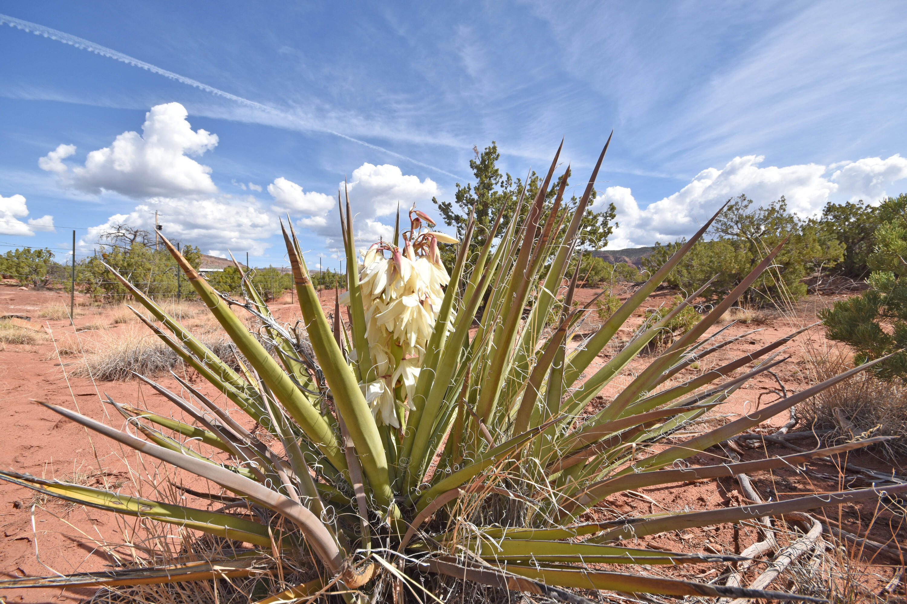 Lot 16 Unit 2 Jemez Canyon Estates