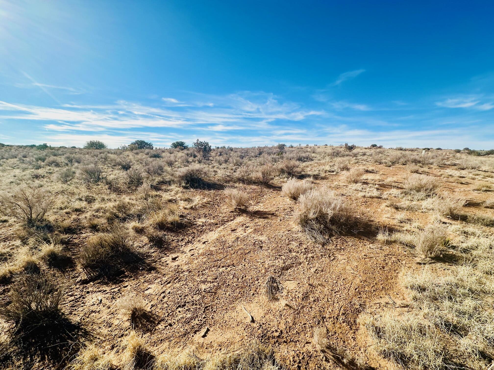 Rio Del Oro Loop, Los Lunas, New Mexico image 1