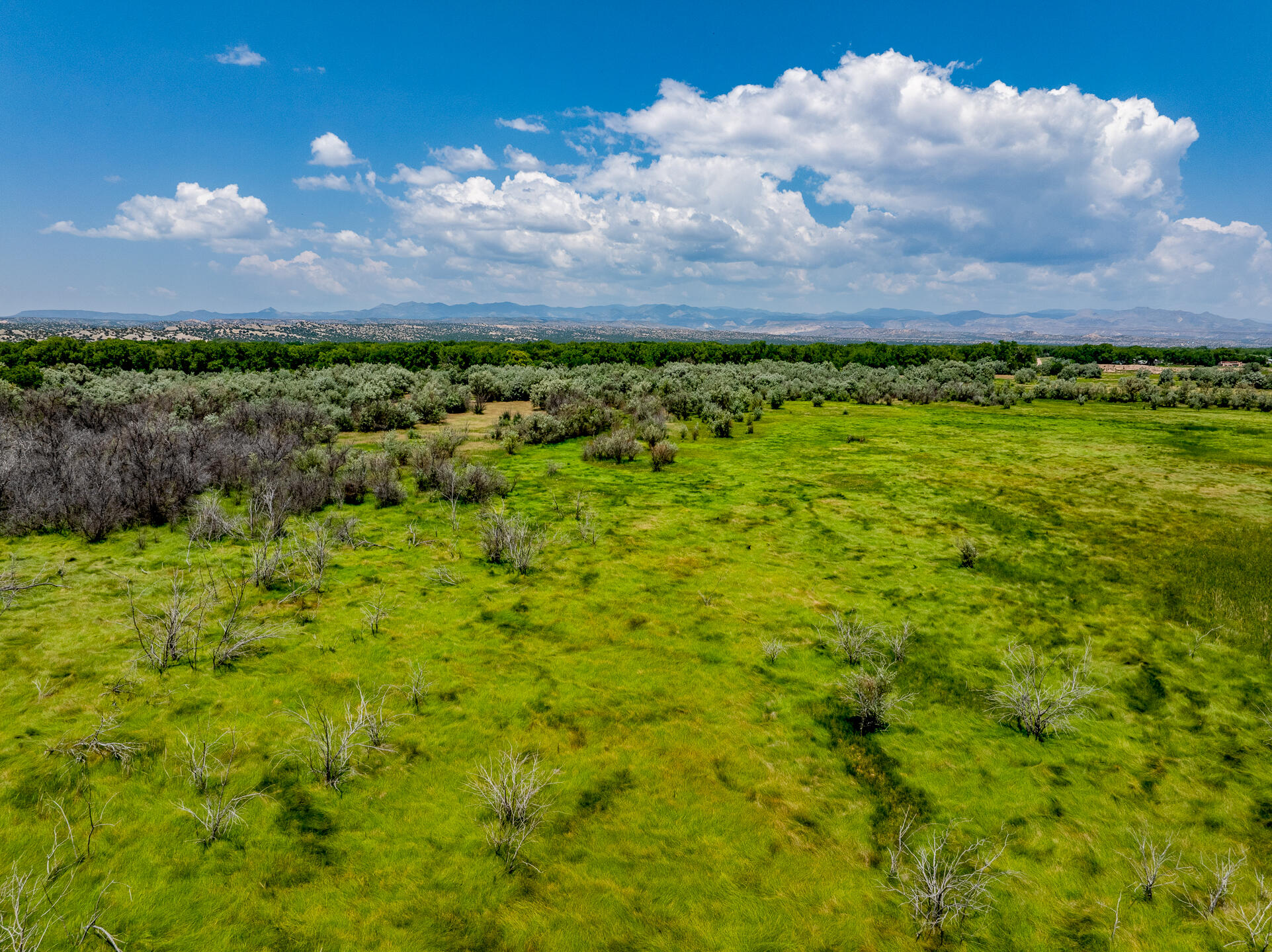 9 Sparkling Moolah, Pena Blanca, New Mexico image 12