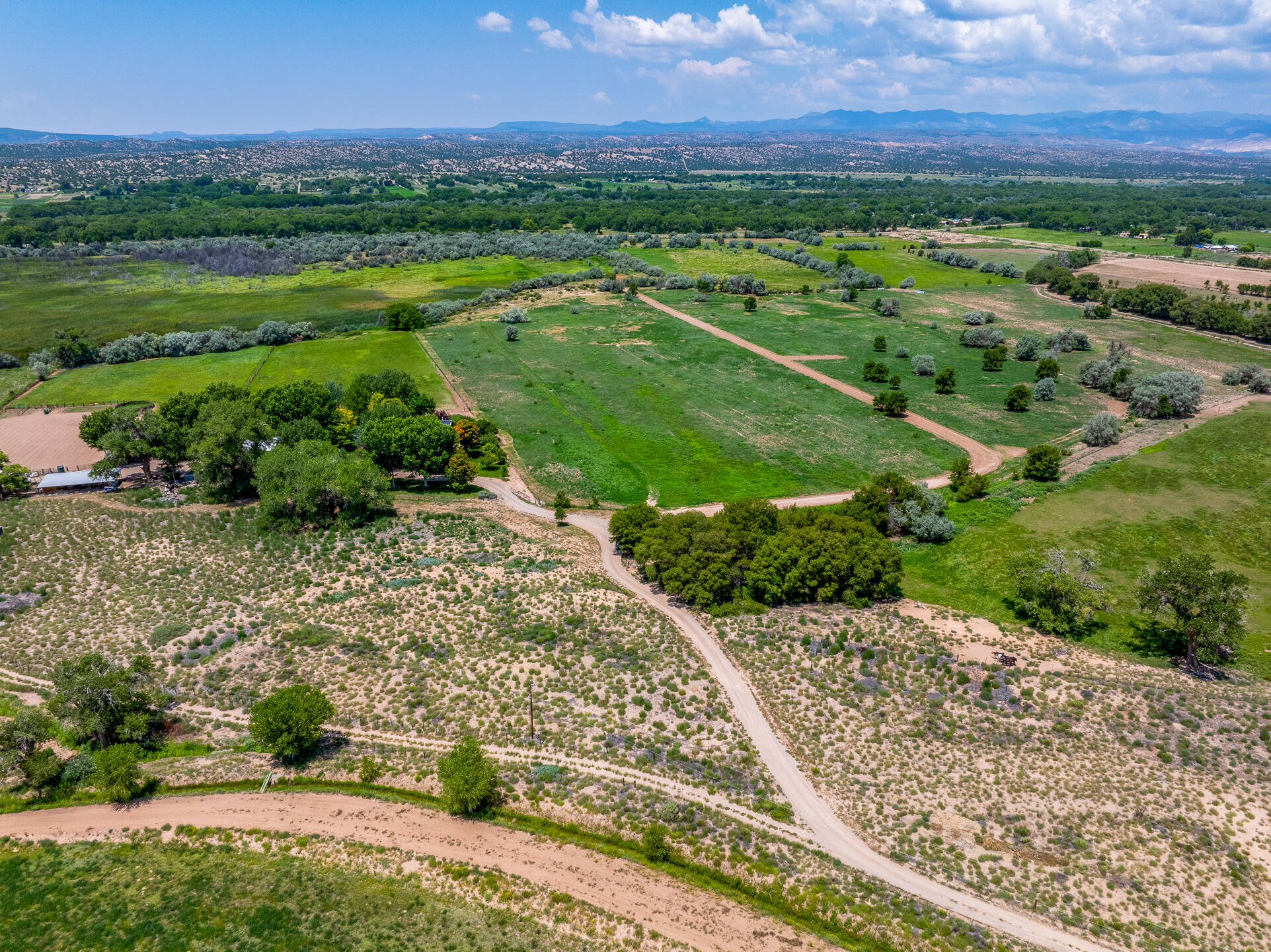 9 Sparkling Moolah, Pena Blanca, New Mexico image 1