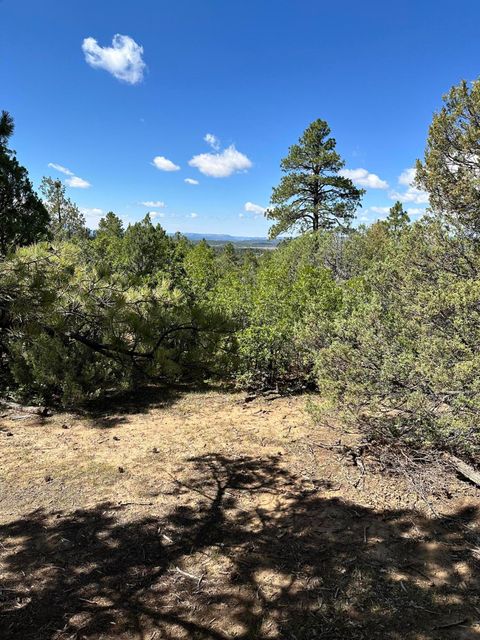 Vacant Land For Sale - 99 Private Drive 1781a<br/> Rio Arriba County, Chama, NM 87520