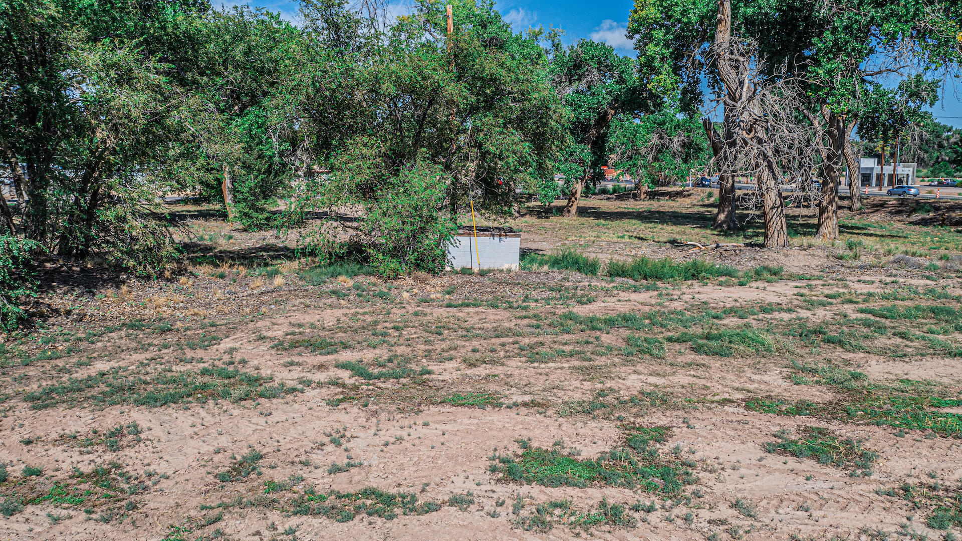 Main St & Edeal Rd, Los Lunas, New Mexico image 20