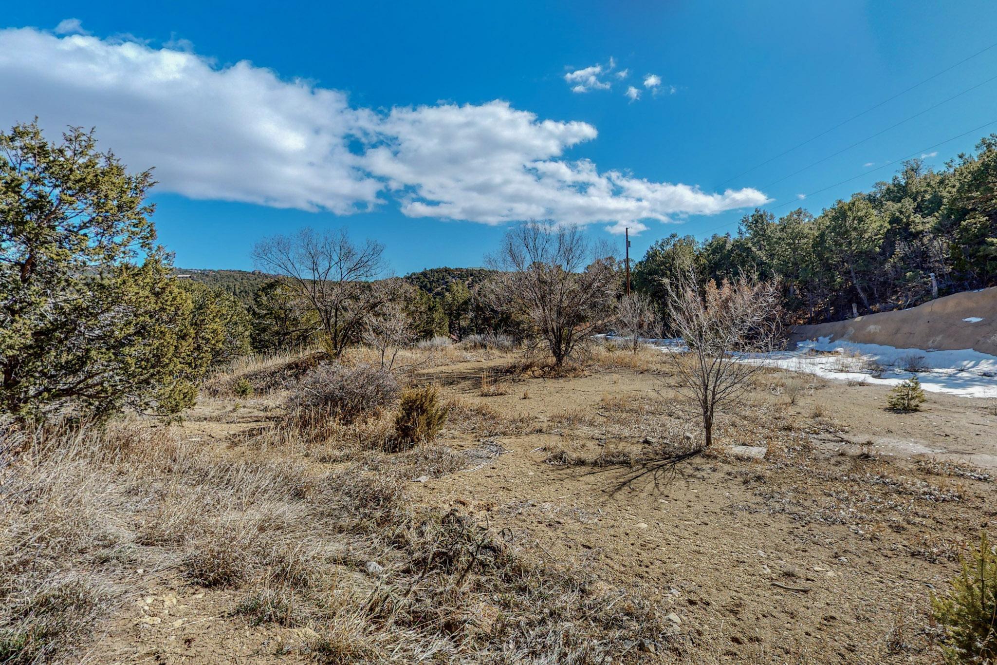 Lot 18 Manana Court, Cedar Crest, New Mexico image 17