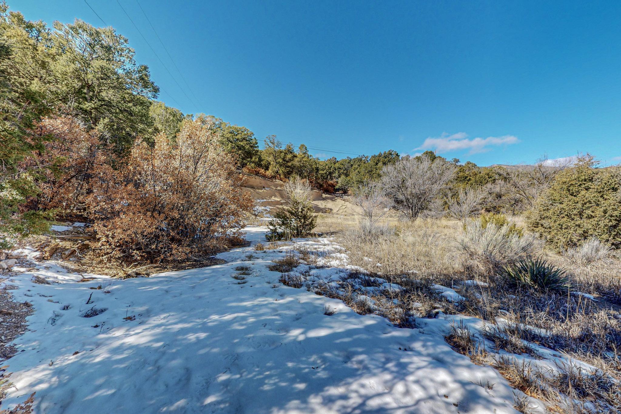 Lot 18 Manana Court, Cedar Crest, New Mexico image 14