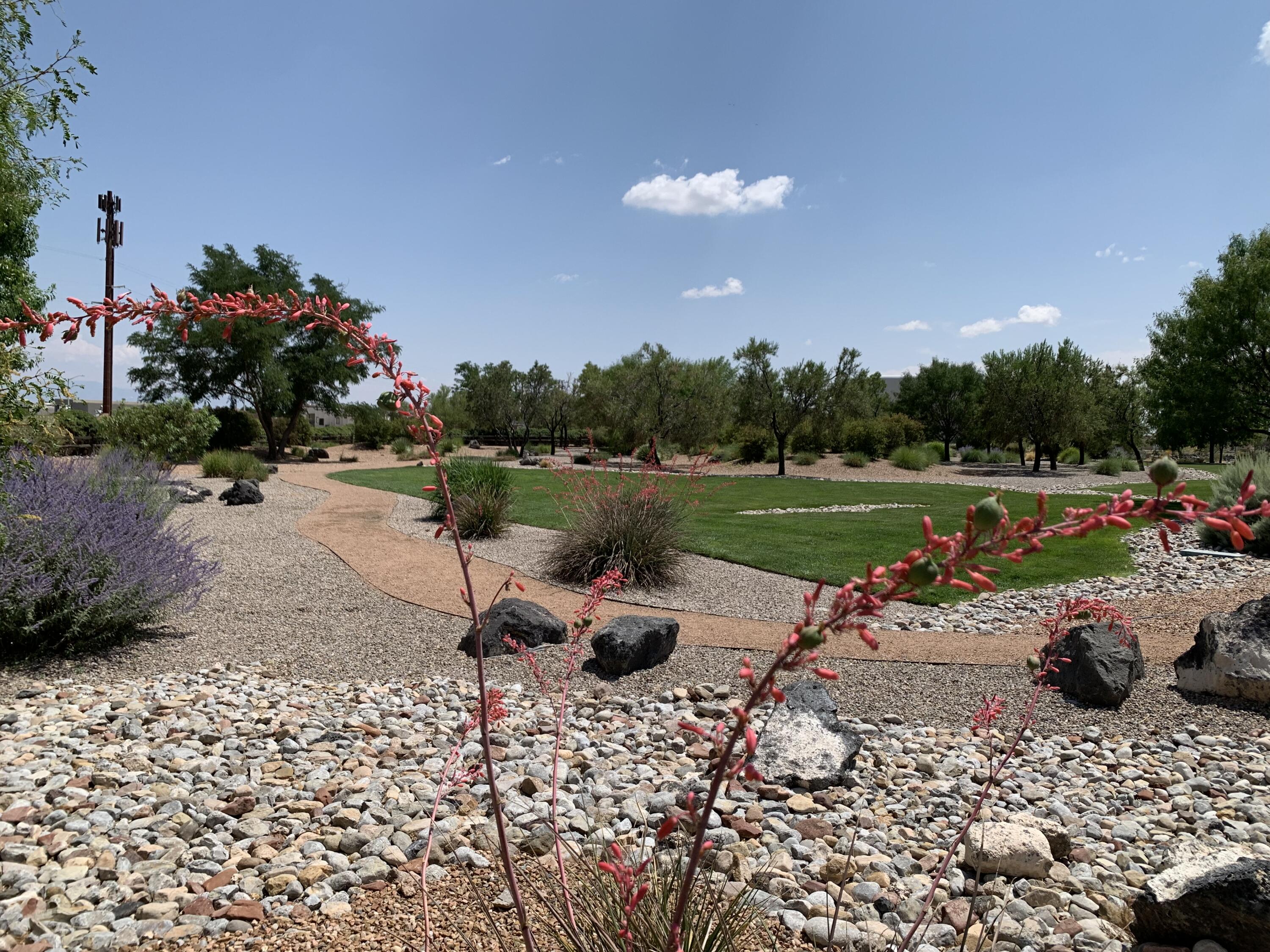 8224 Chilte Pine Road, Albuquerque, New Mexico image 41