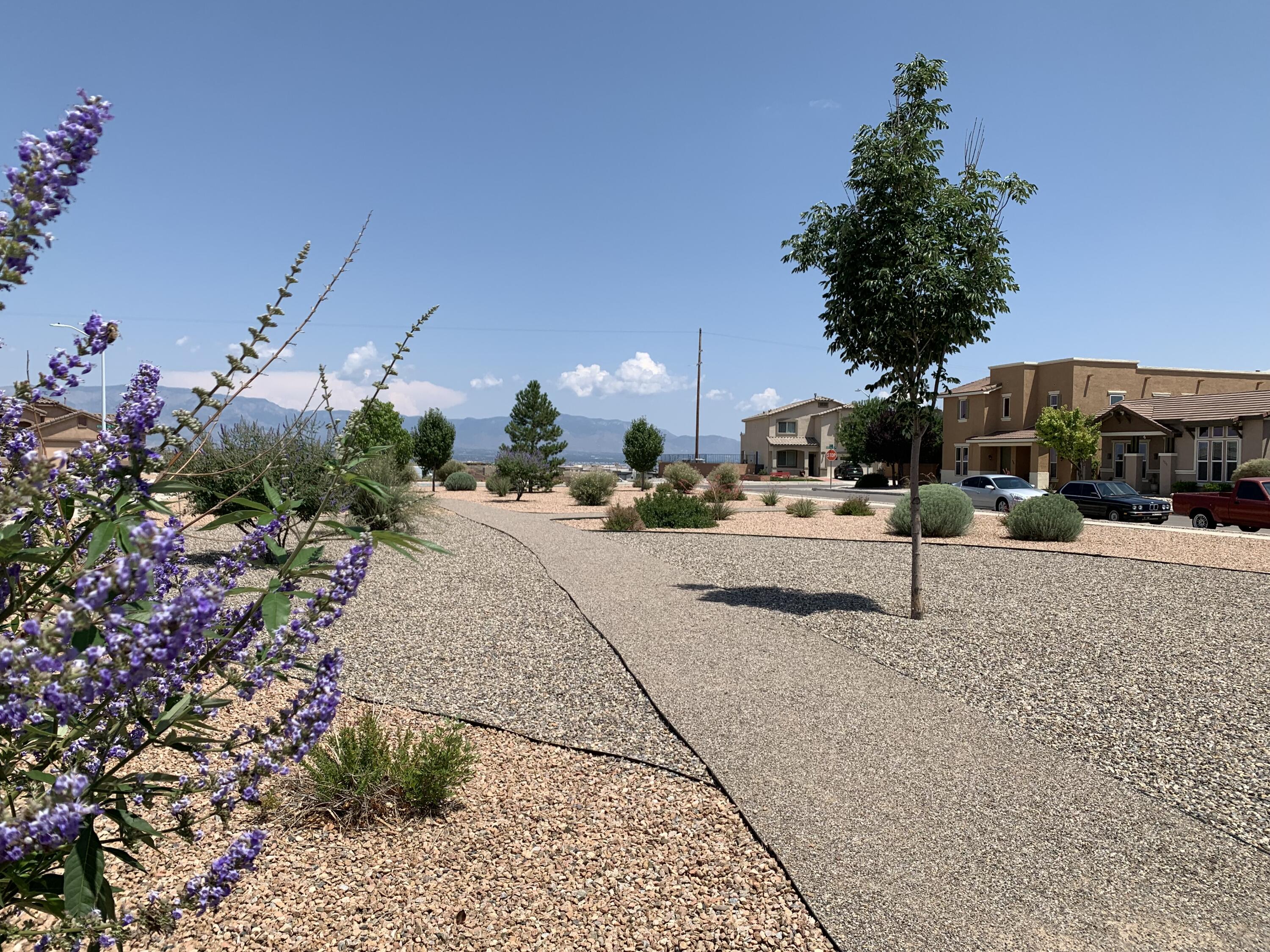 8224 Chilte Pine Road, Albuquerque, New Mexico image 39