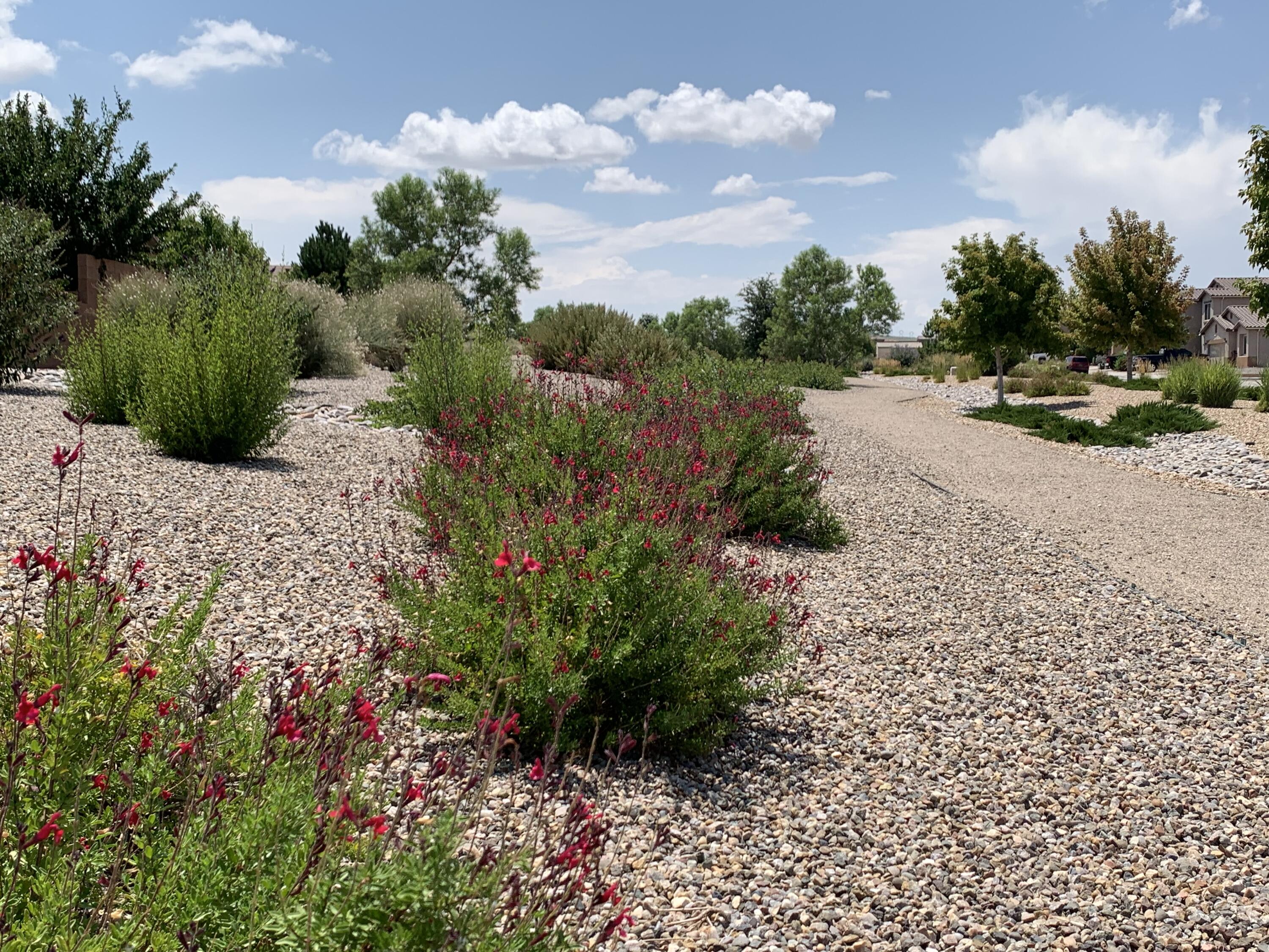 8224 Chilte Pine Road, Albuquerque, New Mexico image 38