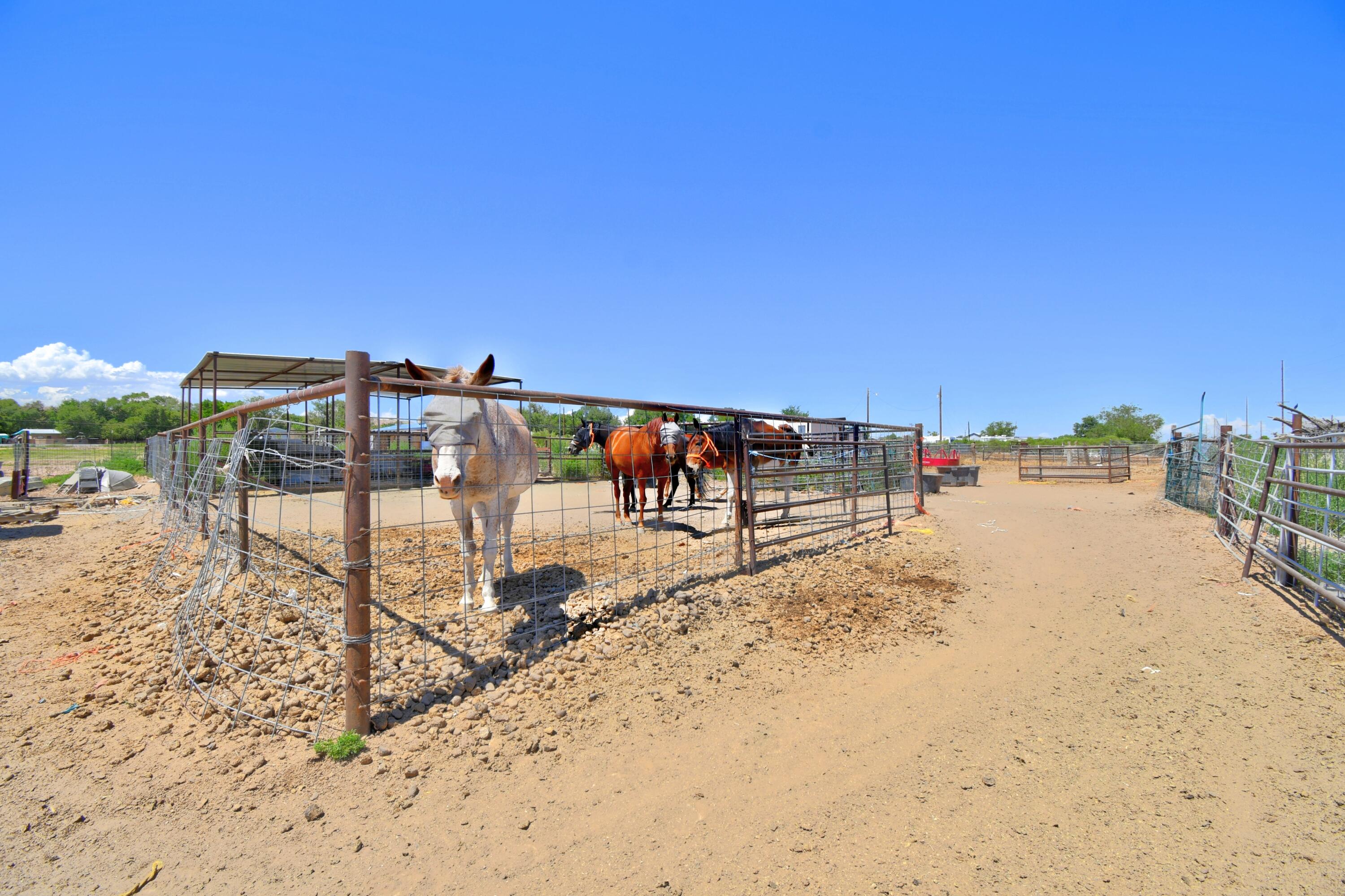 1459 Highway 116, Belen, New Mexico image 12