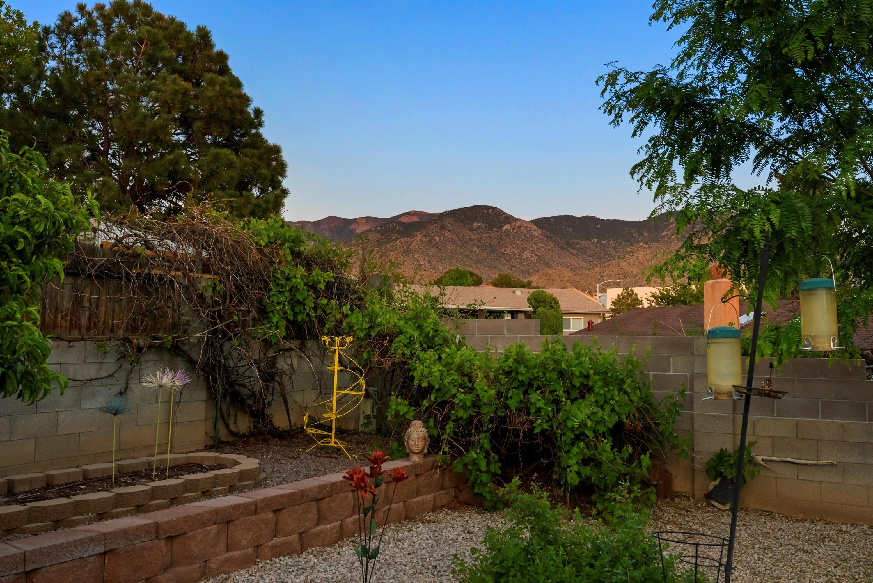 12204 Genoa Street, Albuquerque, New Mexico image 15