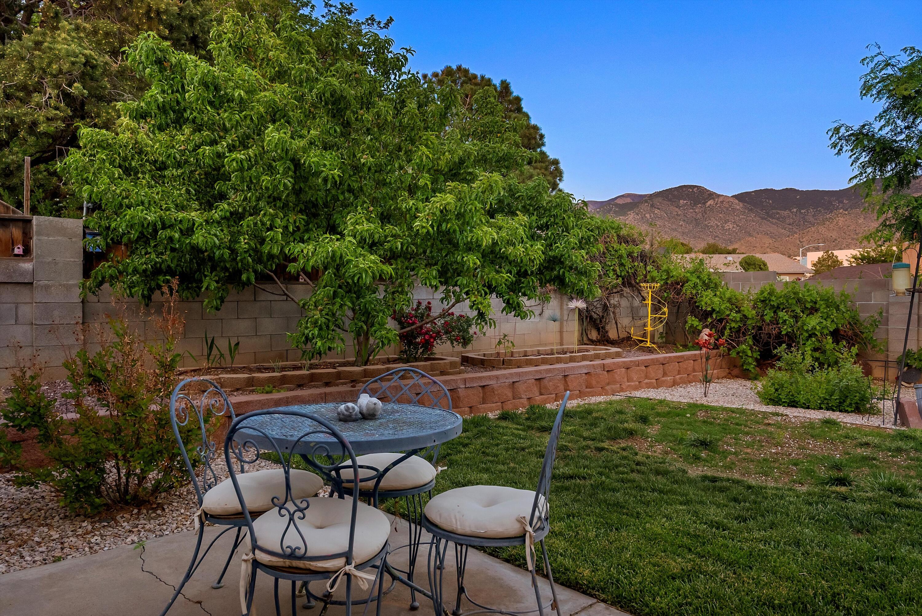 12204 Genoa Street, Albuquerque, New Mexico image 17