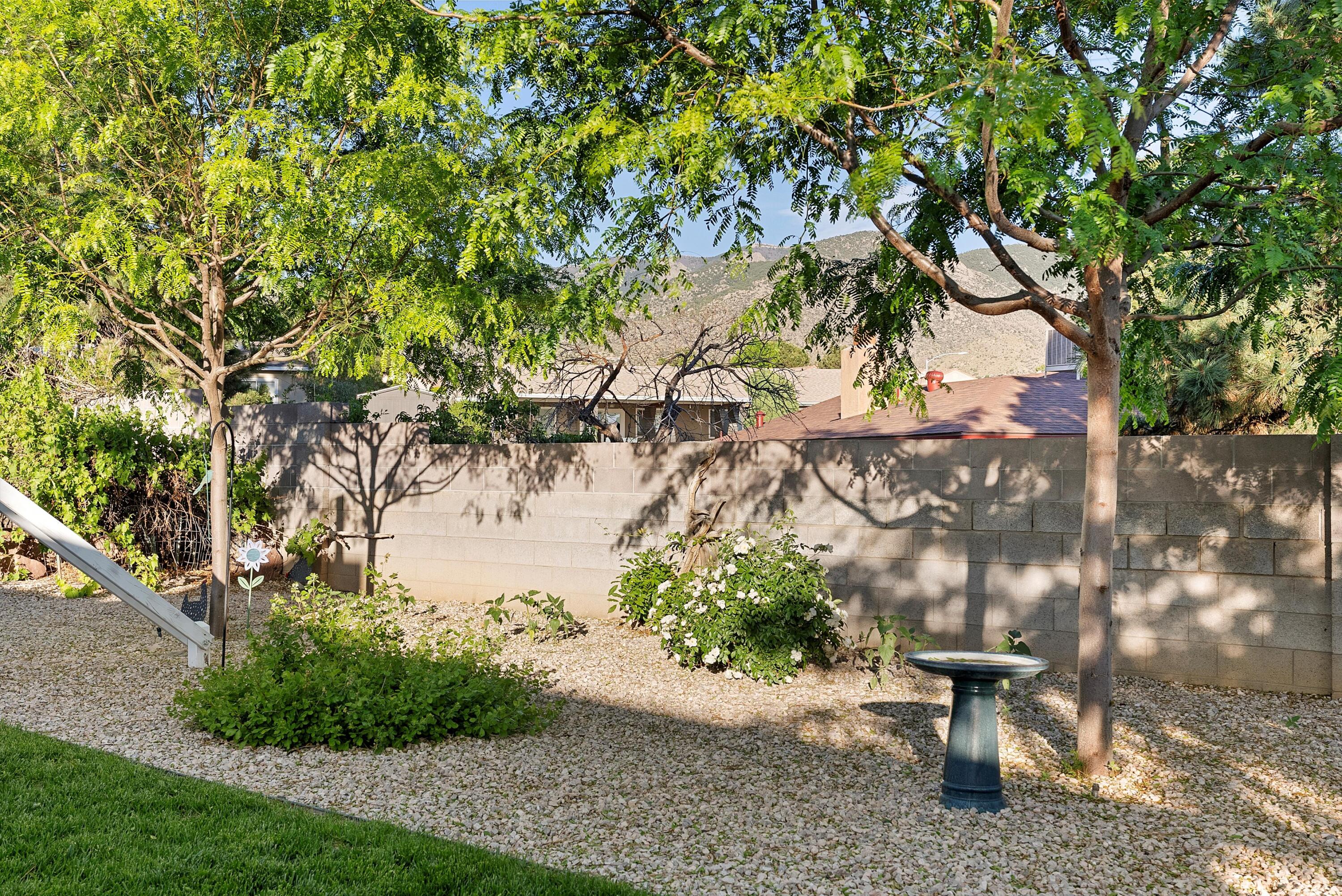 12204 Genoa Street, Albuquerque, New Mexico image 50