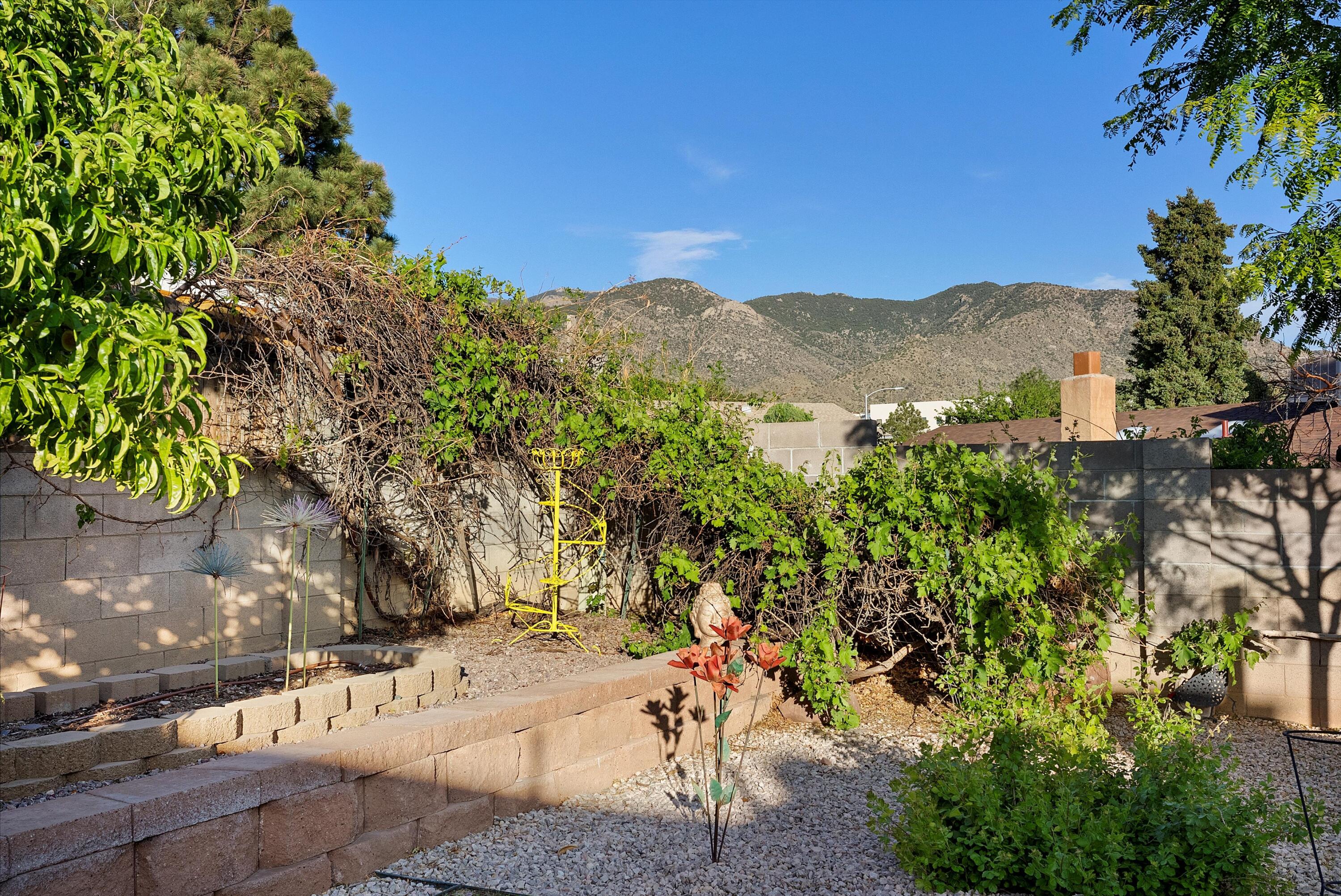 12204 Genoa Street, Albuquerque, New Mexico image 47