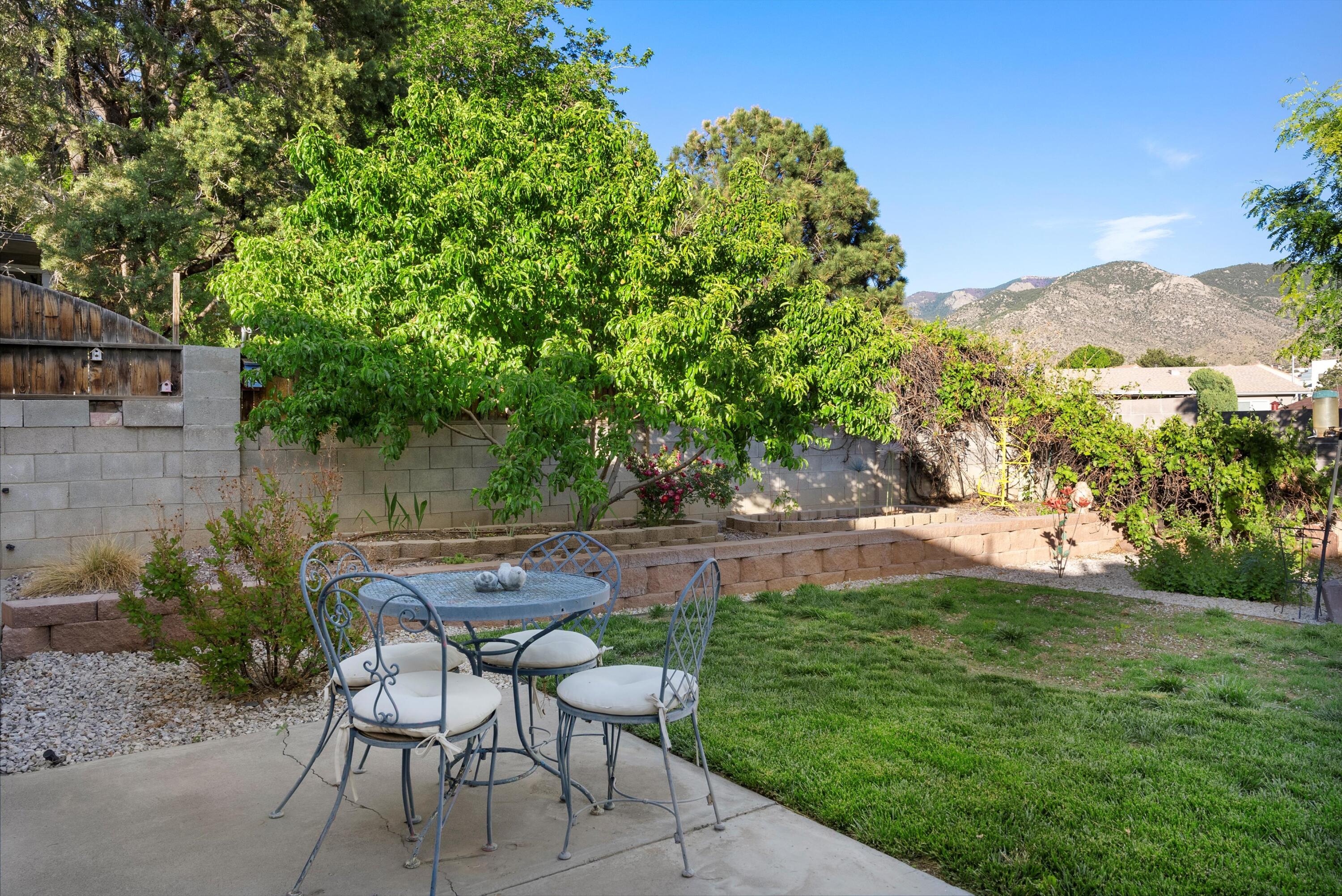 12204 Genoa Street, Albuquerque, New Mexico image 45