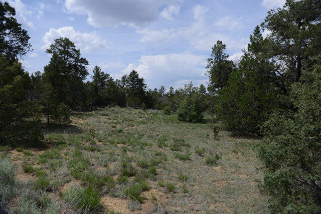 R01646 Normas Way, Ramah, New Mexico image 3