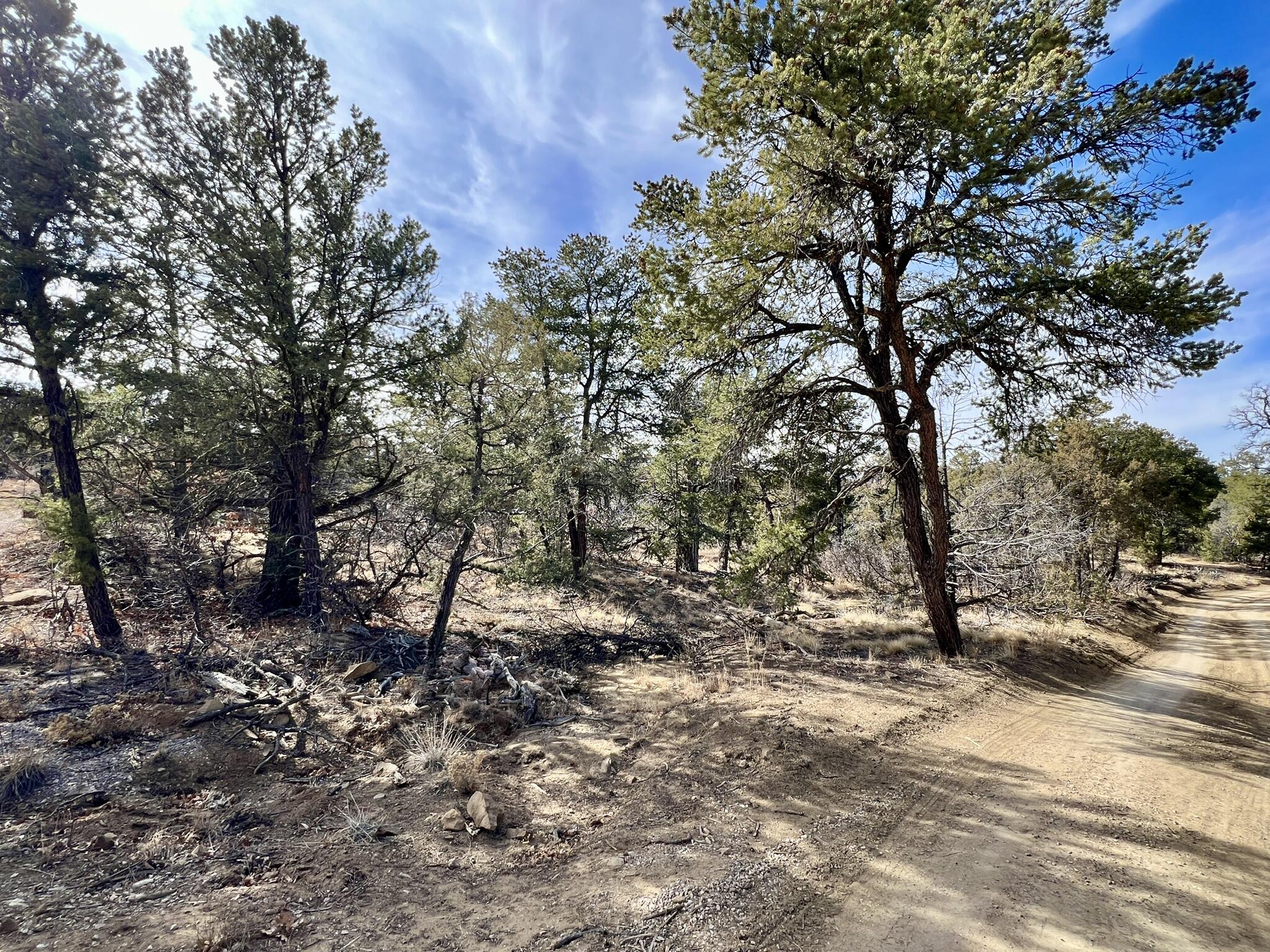R01646 Normas Way, Ramah, New Mexico image 10