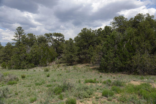 R01646 Normas Way, Ramah, New Mexico image 4