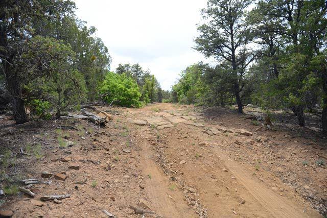 R01646 Normas Way, Ramah, New Mexico image 6