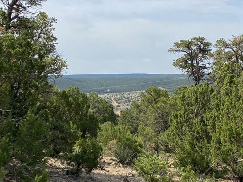 Vacant Land For Sale - 5 Mormon Road<br/> Torrance County, Edgewood, NM 87015