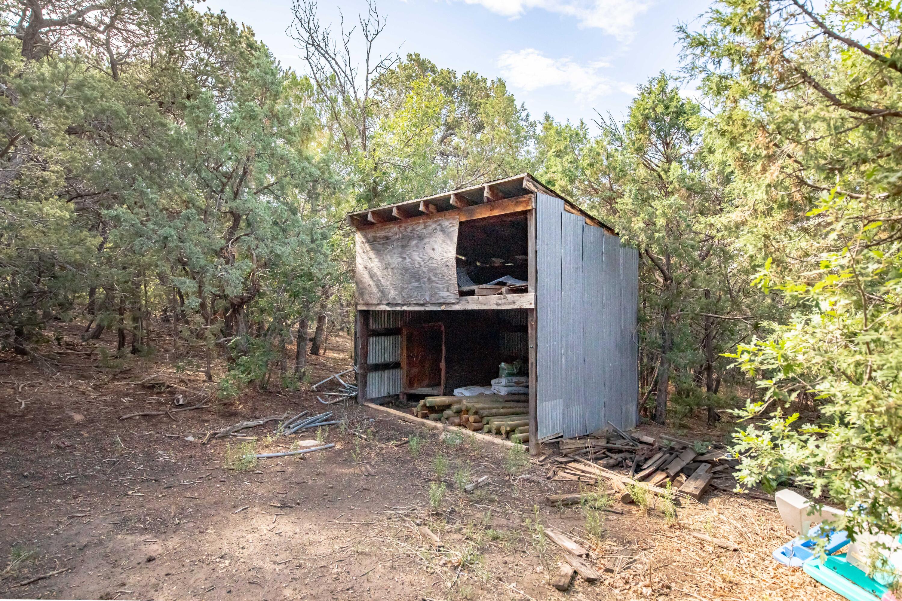 10 Sylvan Dell Avenue, Tijeras, New Mexico image 41