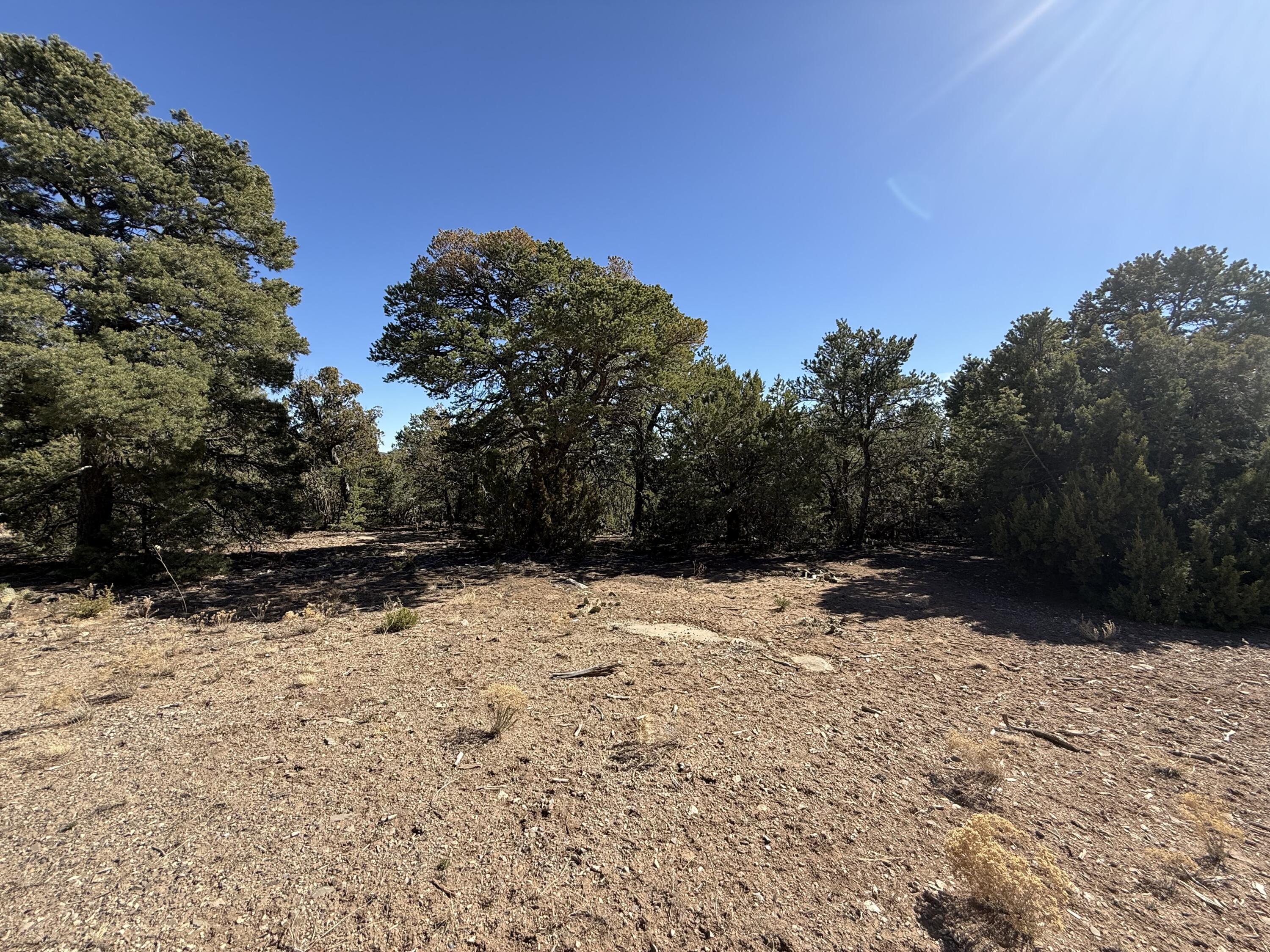 6 Western Trail Drive, Tijeras, New Mexico image 2