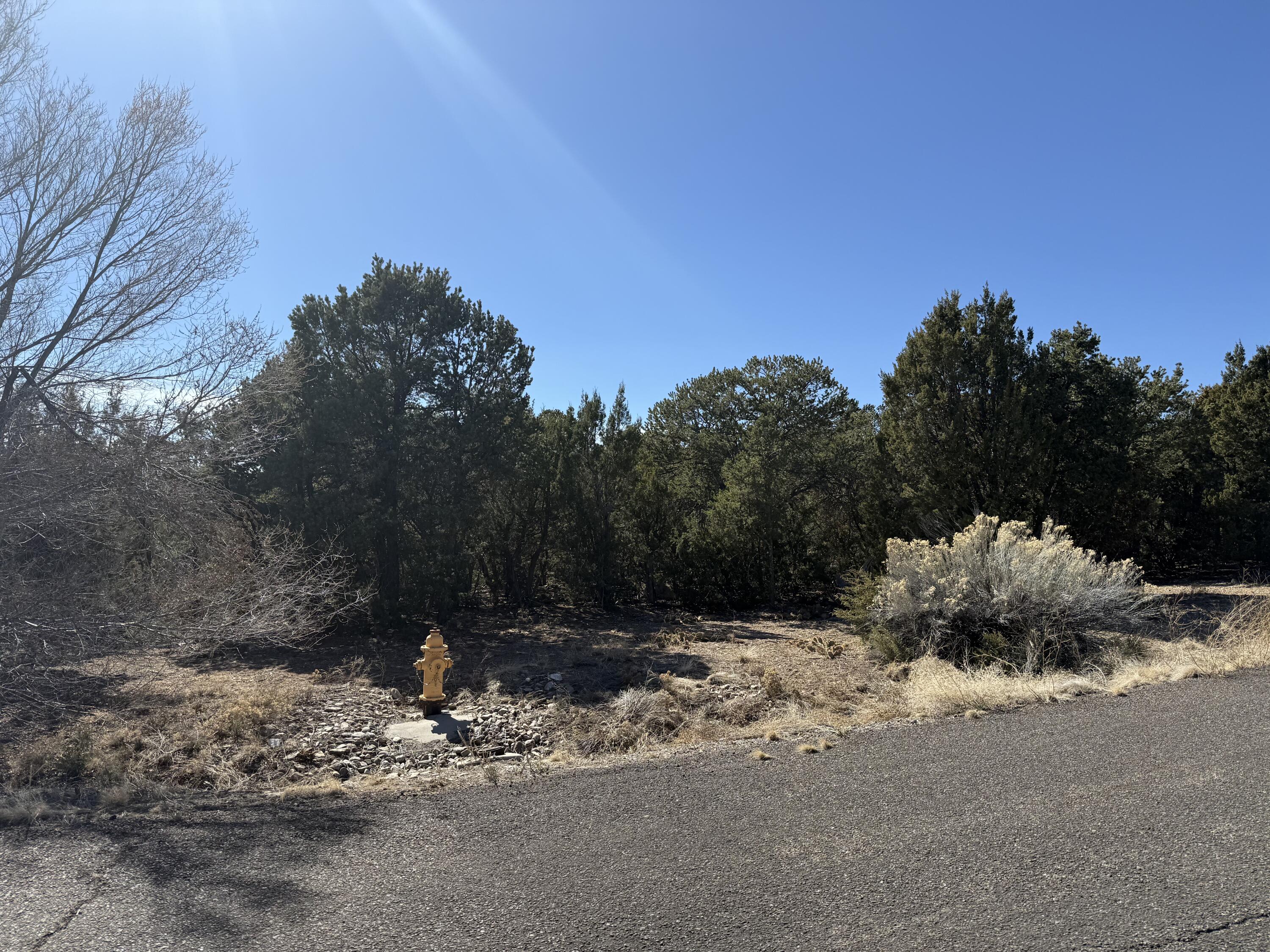 6 Western Trail Drive, Tijeras, New Mexico image 9