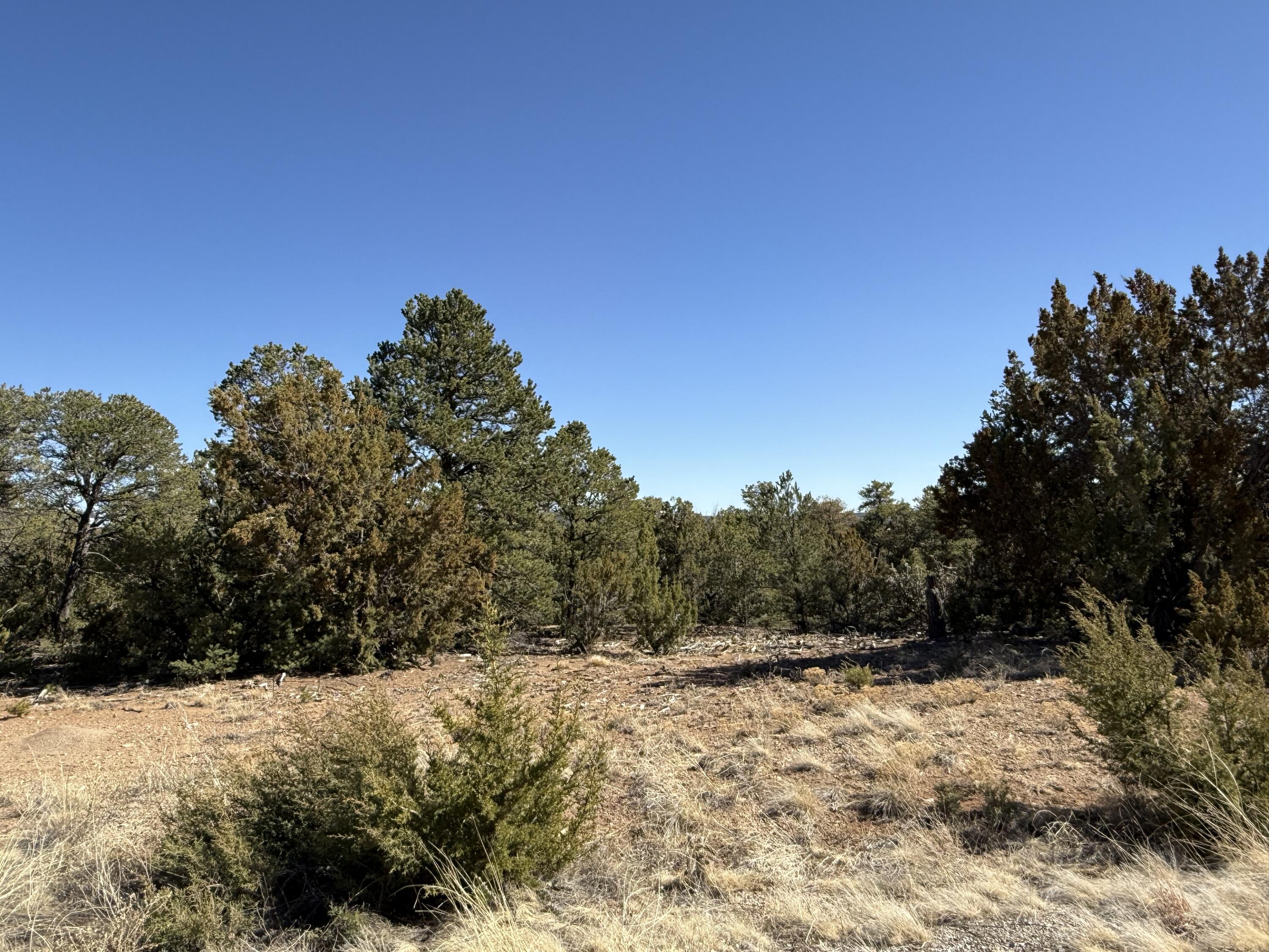 6 Western Trail Drive, Tijeras, New Mexico image 5