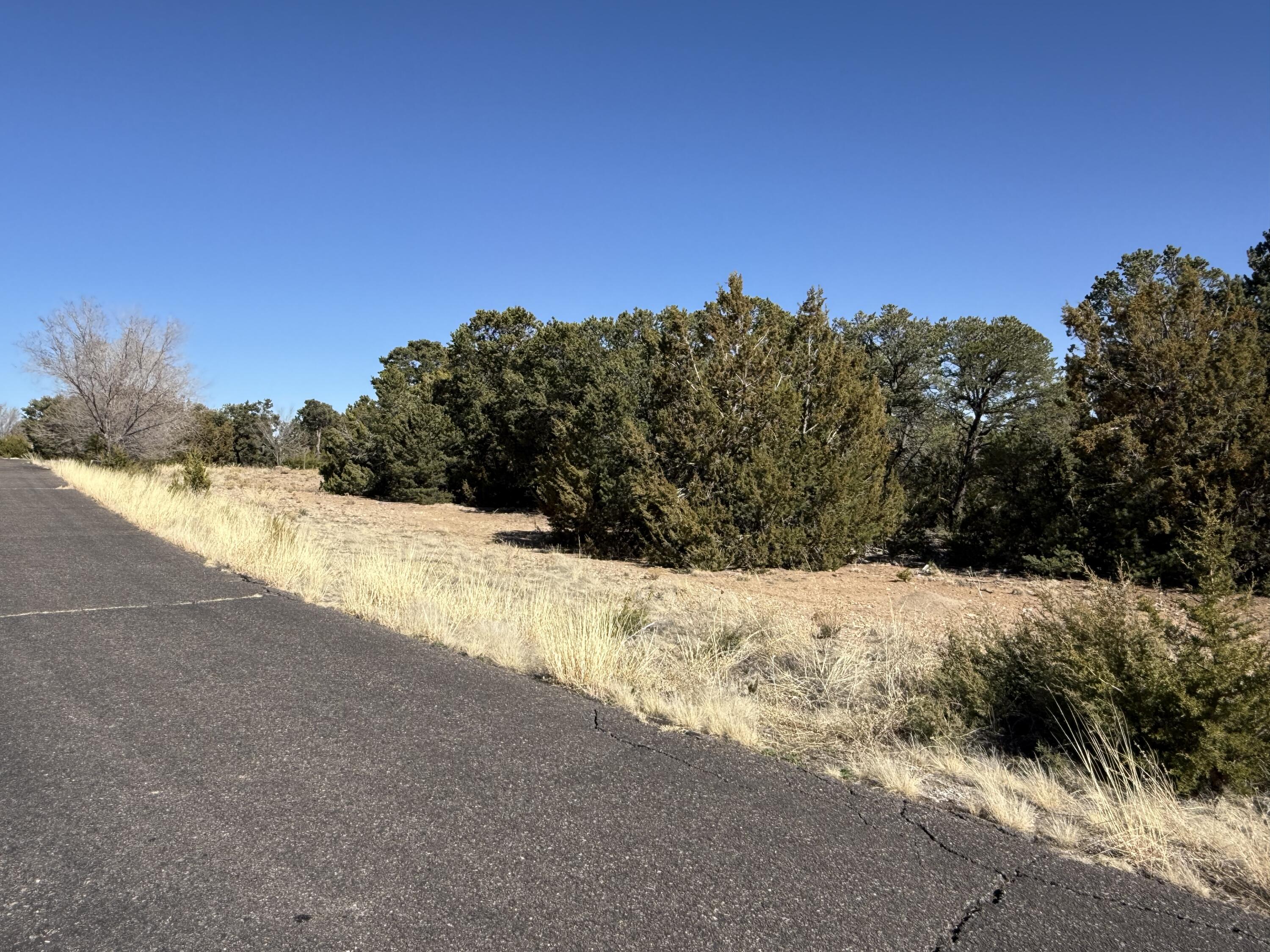 6 Western Trail Drive, Tijeras, New Mexico image 8