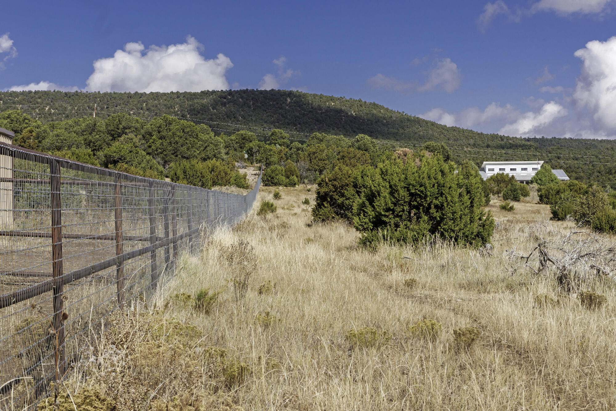 171 Brannan Road, Tijeras, New Mexico image 19