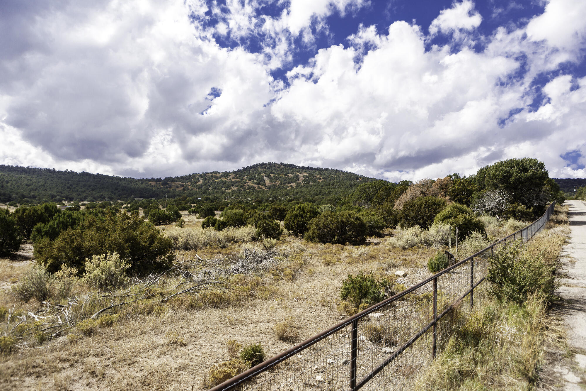 171 Brannan Road, Tijeras, New Mexico image 28