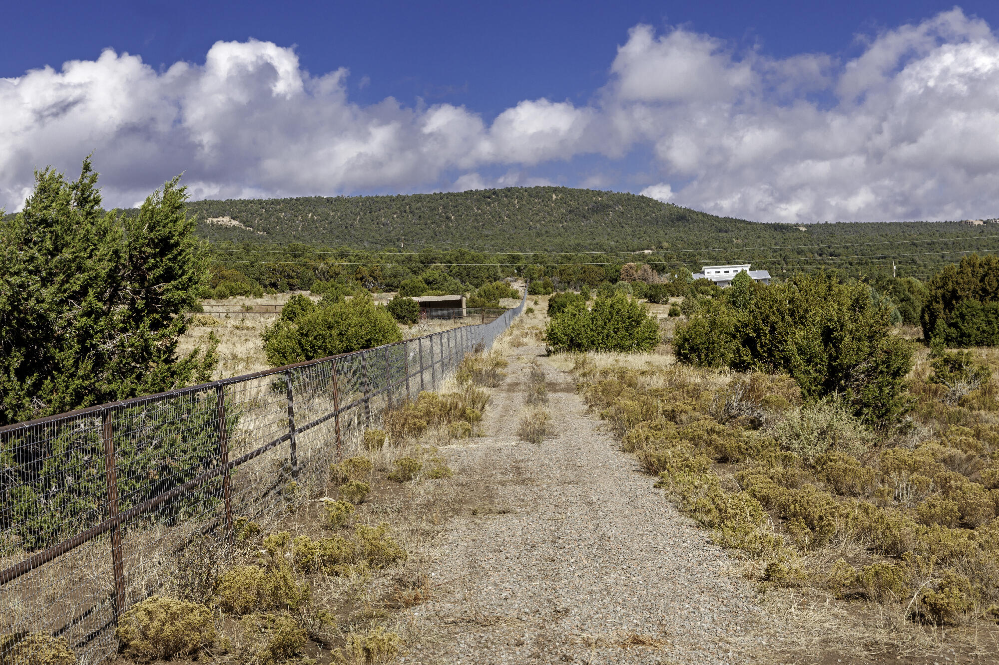 171 Brannan Road, Tijeras, New Mexico image 18