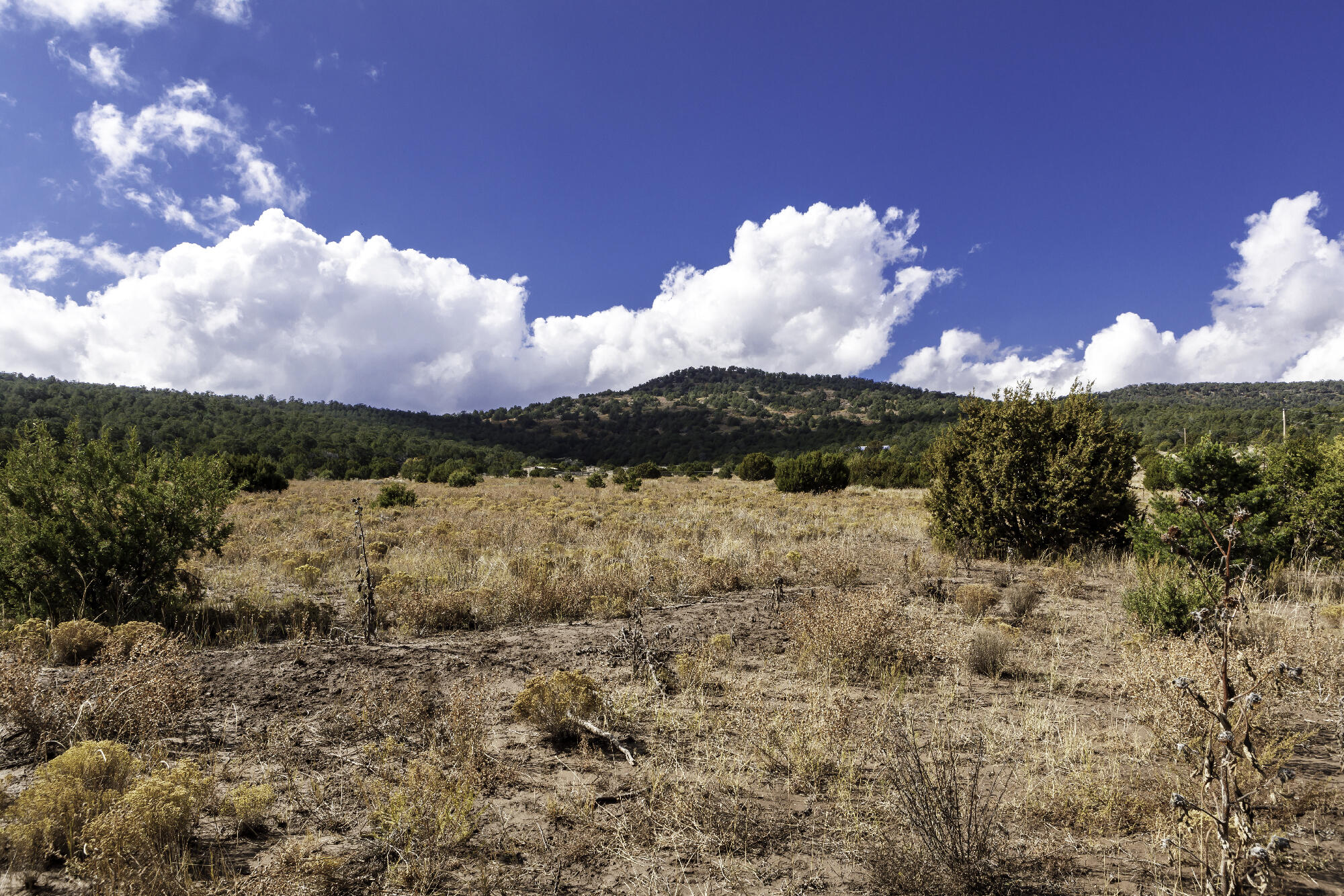 171 Brannan Road, Tijeras, New Mexico image 23