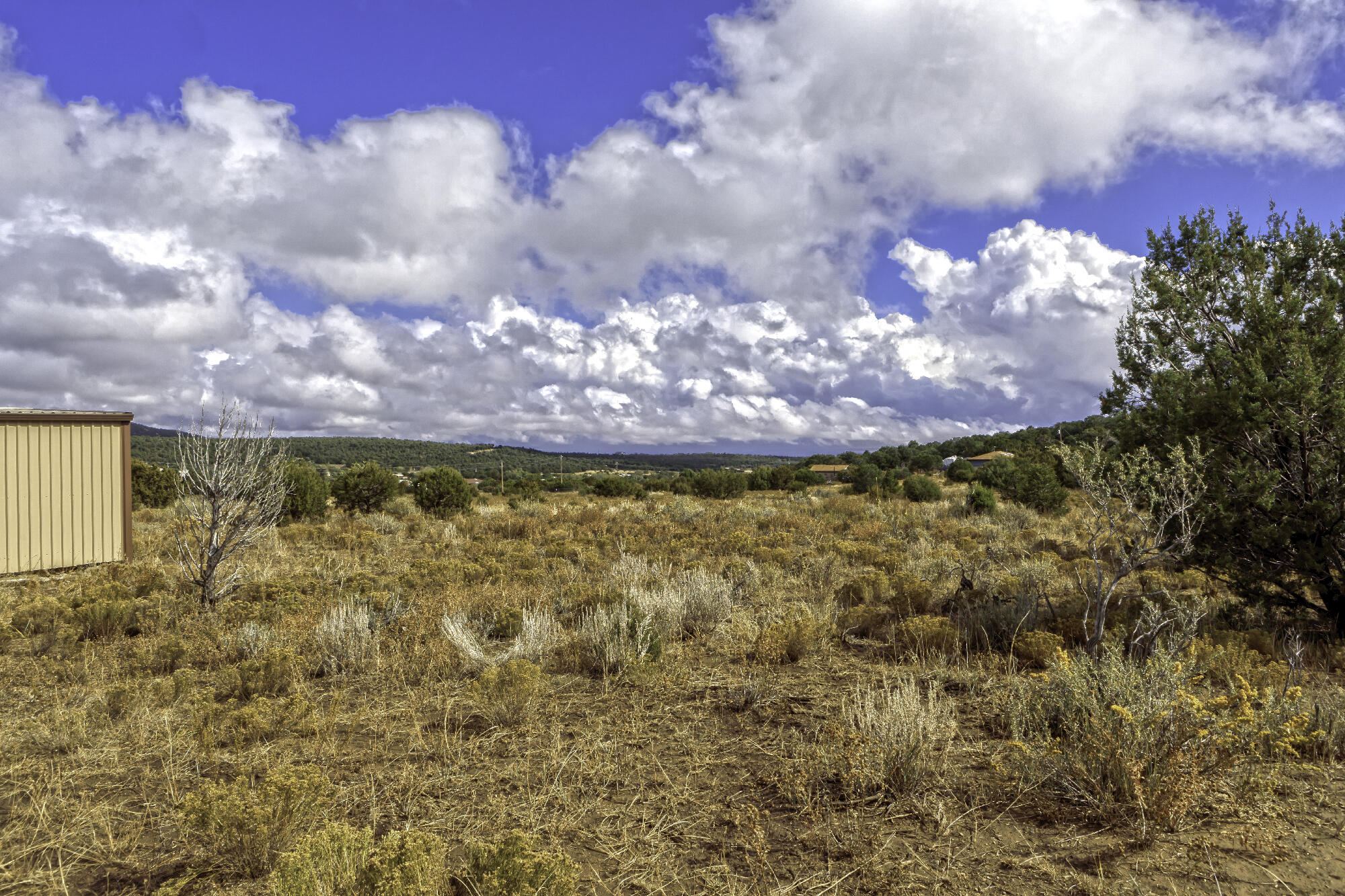 171 Brannan Road, Tijeras, New Mexico image 11