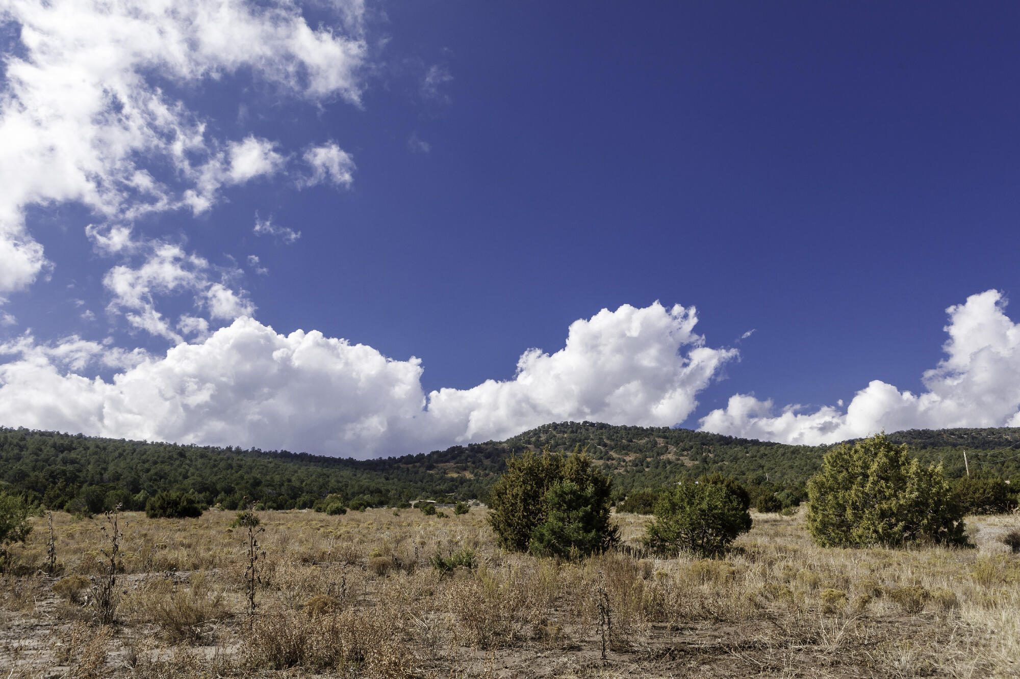 171 Brannan Road, Tijeras, New Mexico image 22