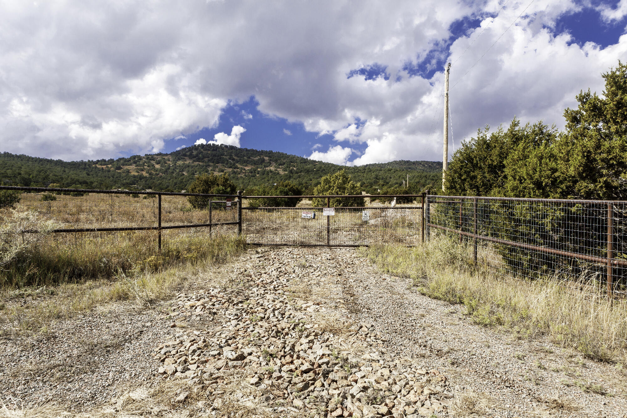 171 Brannan Road, Tijeras, New Mexico image 8