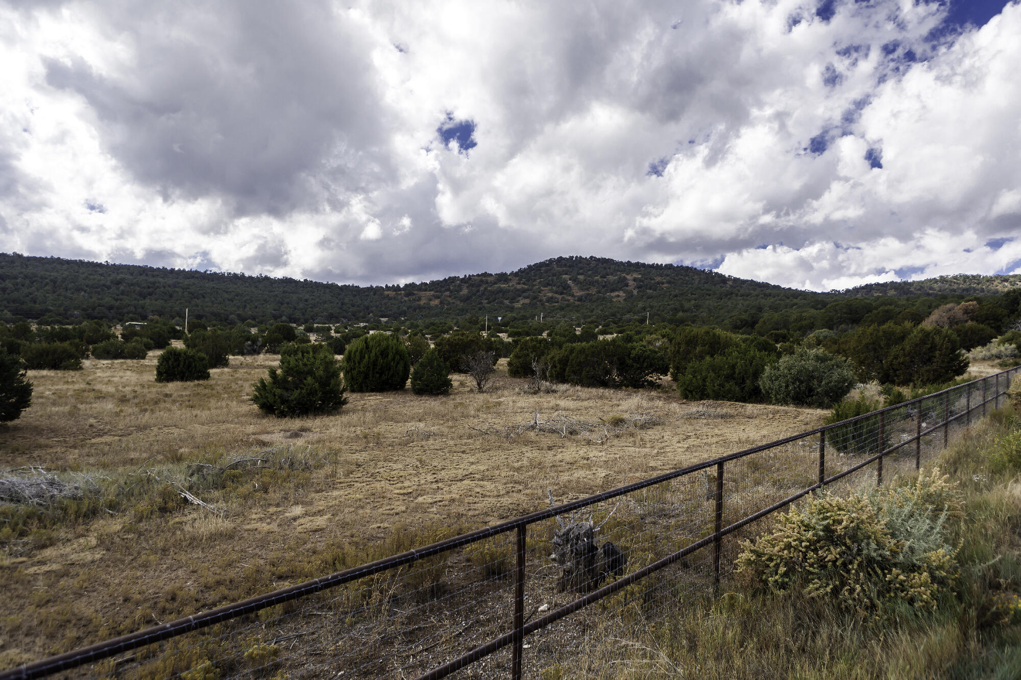 171 Brannan Road, Tijeras, New Mexico image 32