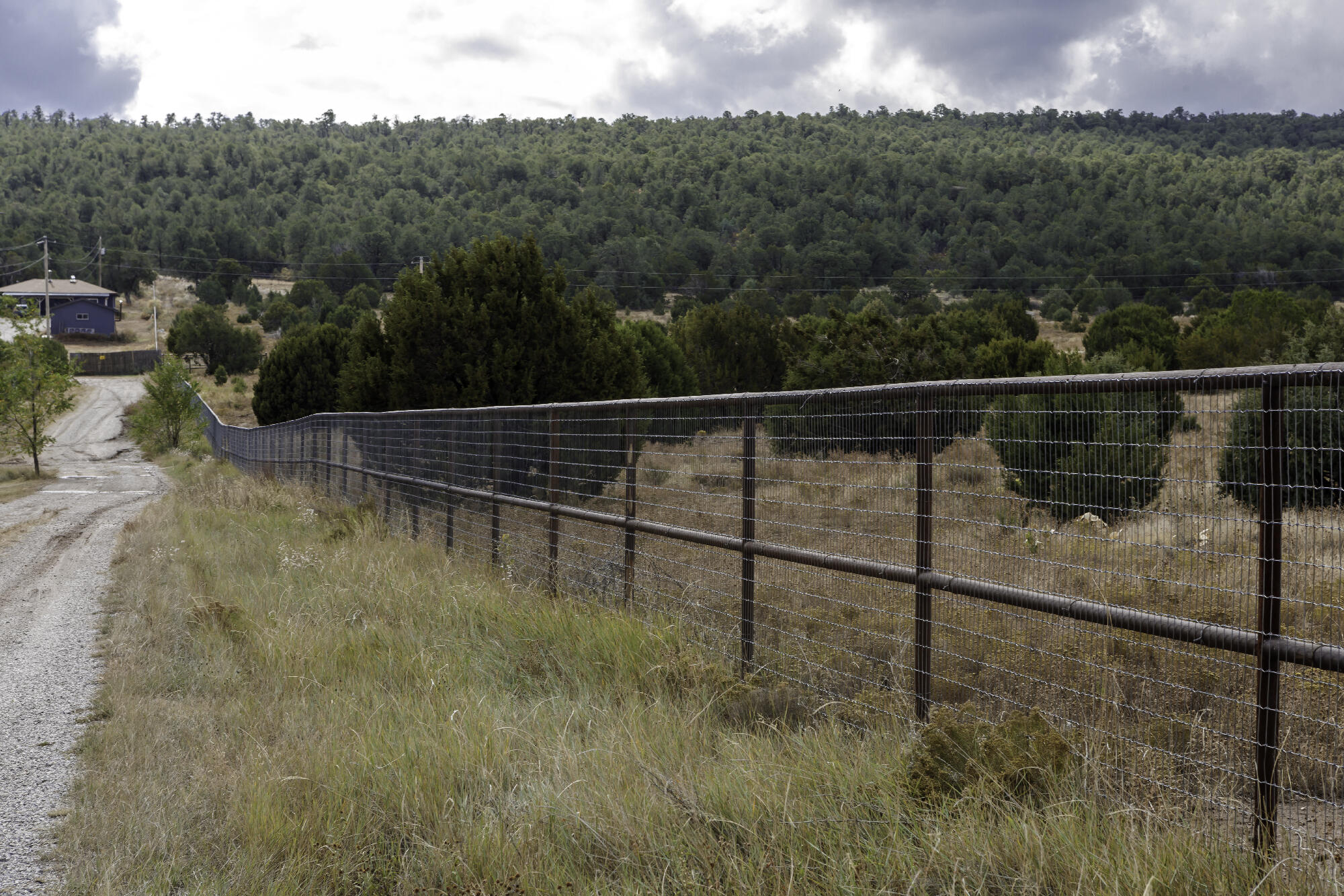 171 Brannan Road, Tijeras, New Mexico image 6