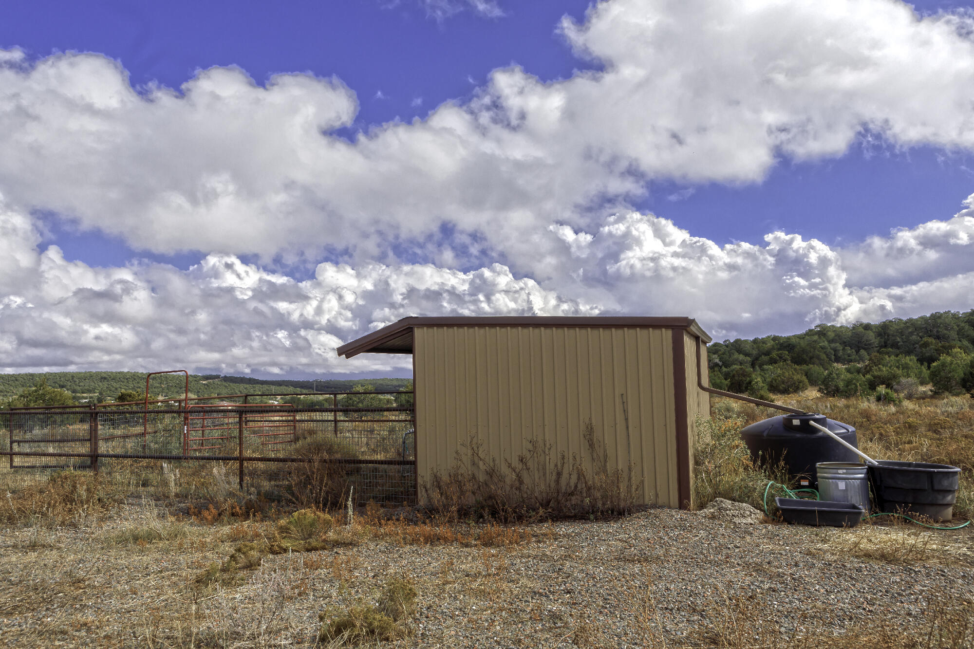 171 Brannan Road, Tijeras, New Mexico image 10